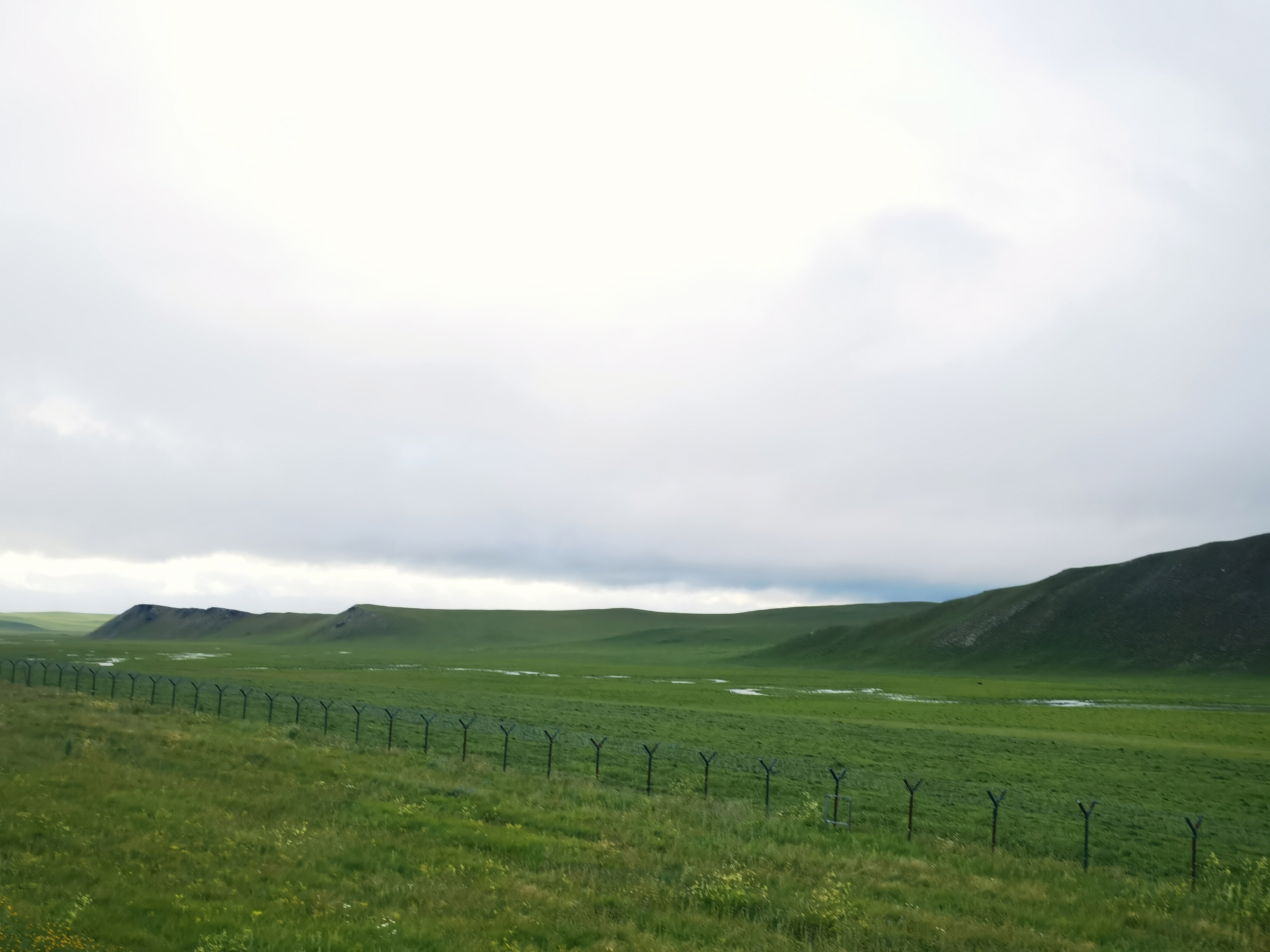 草原 内蒙古 锡林郭勒