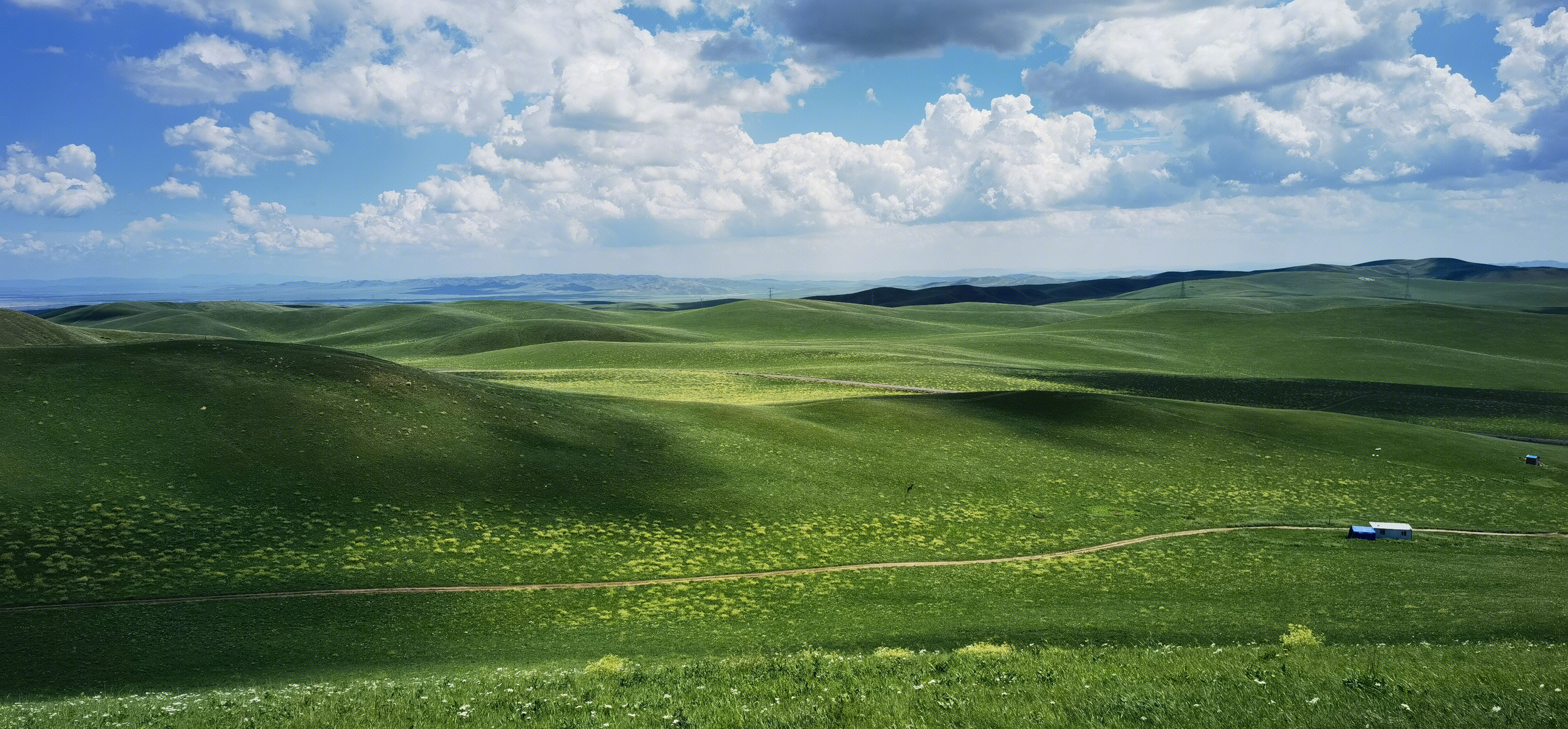 草原 内蒙古 锡林郭勒