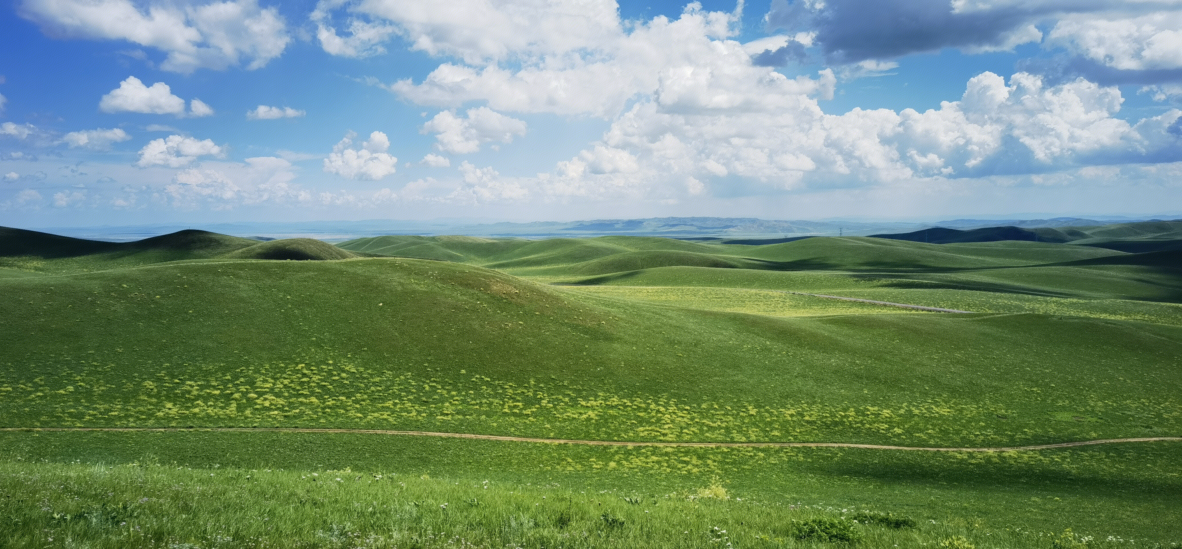 草原 内蒙古 锡林郭勒