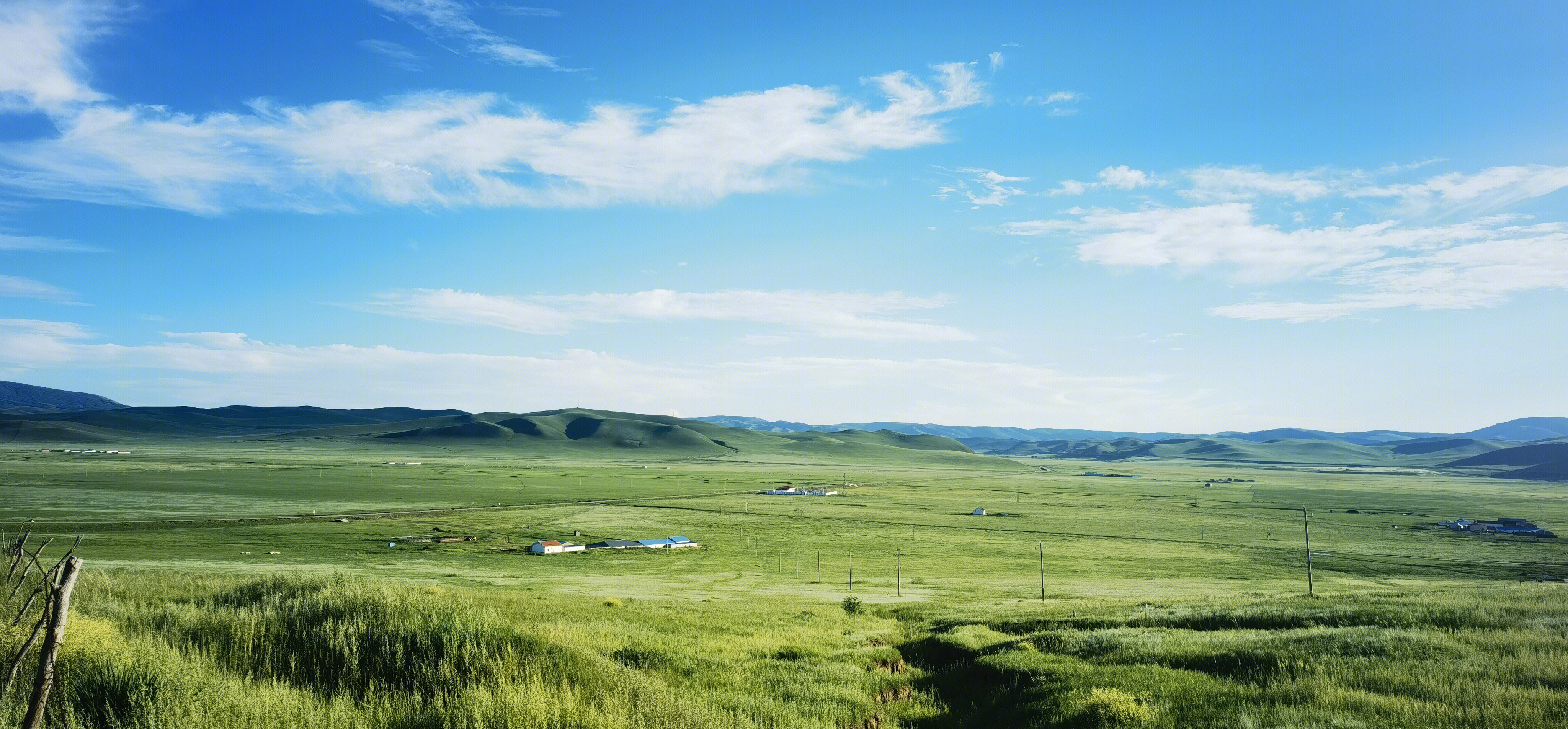 草原  内蒙古 锡林郭勒
