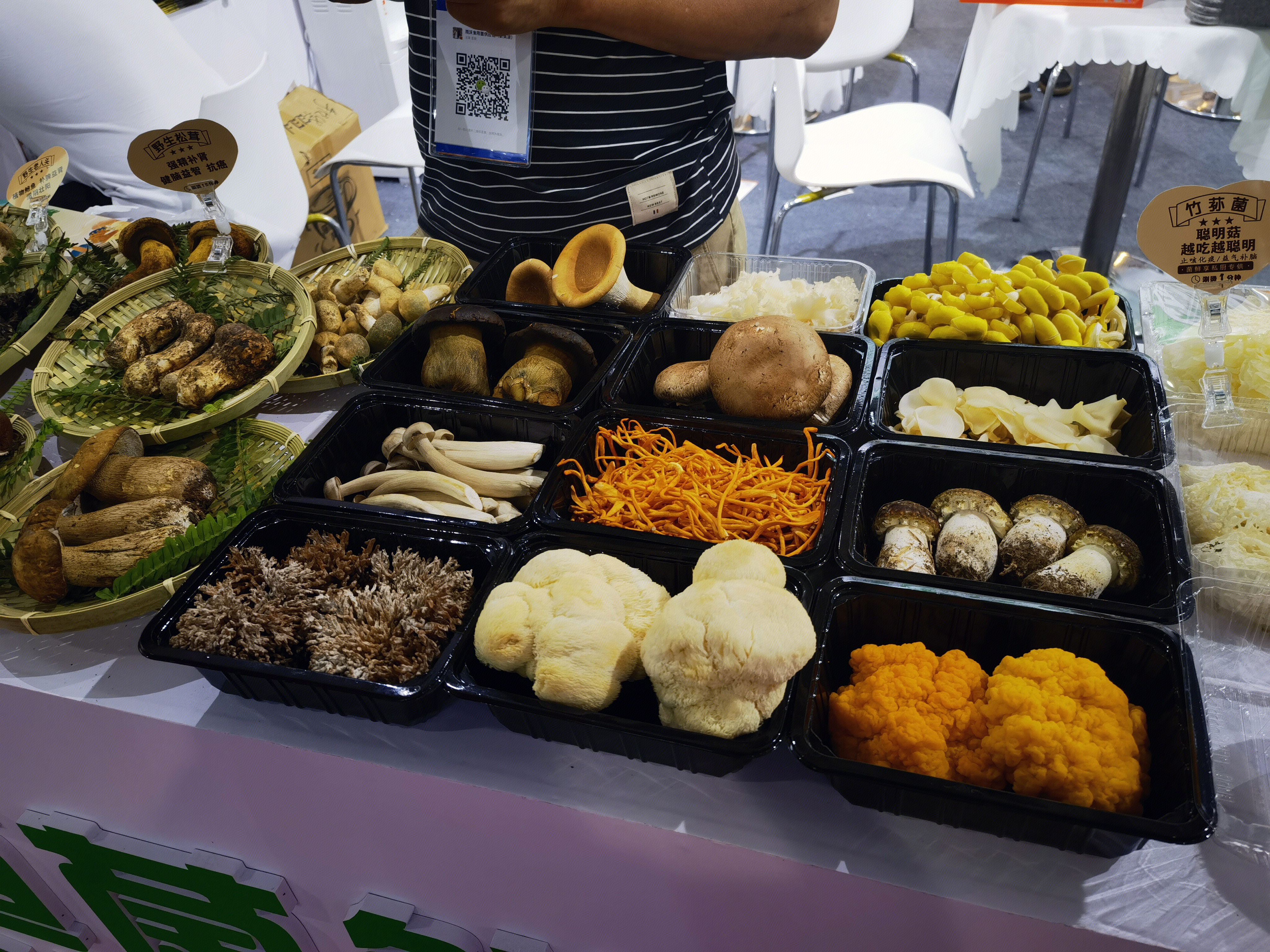 菌菇 蘑菇 香菇 松茸 黑人参 补品