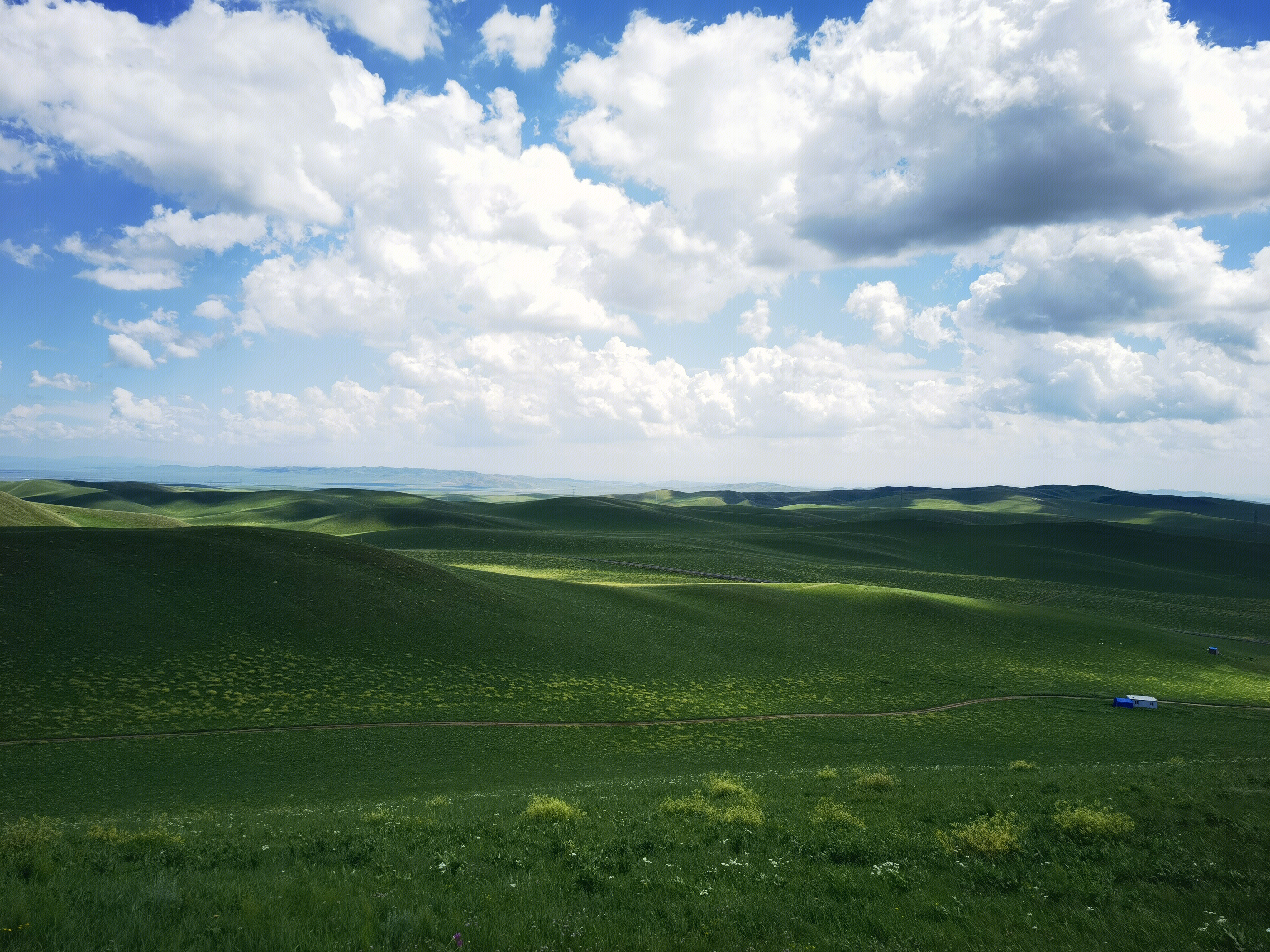 草原 内蒙古 锡林郭勒