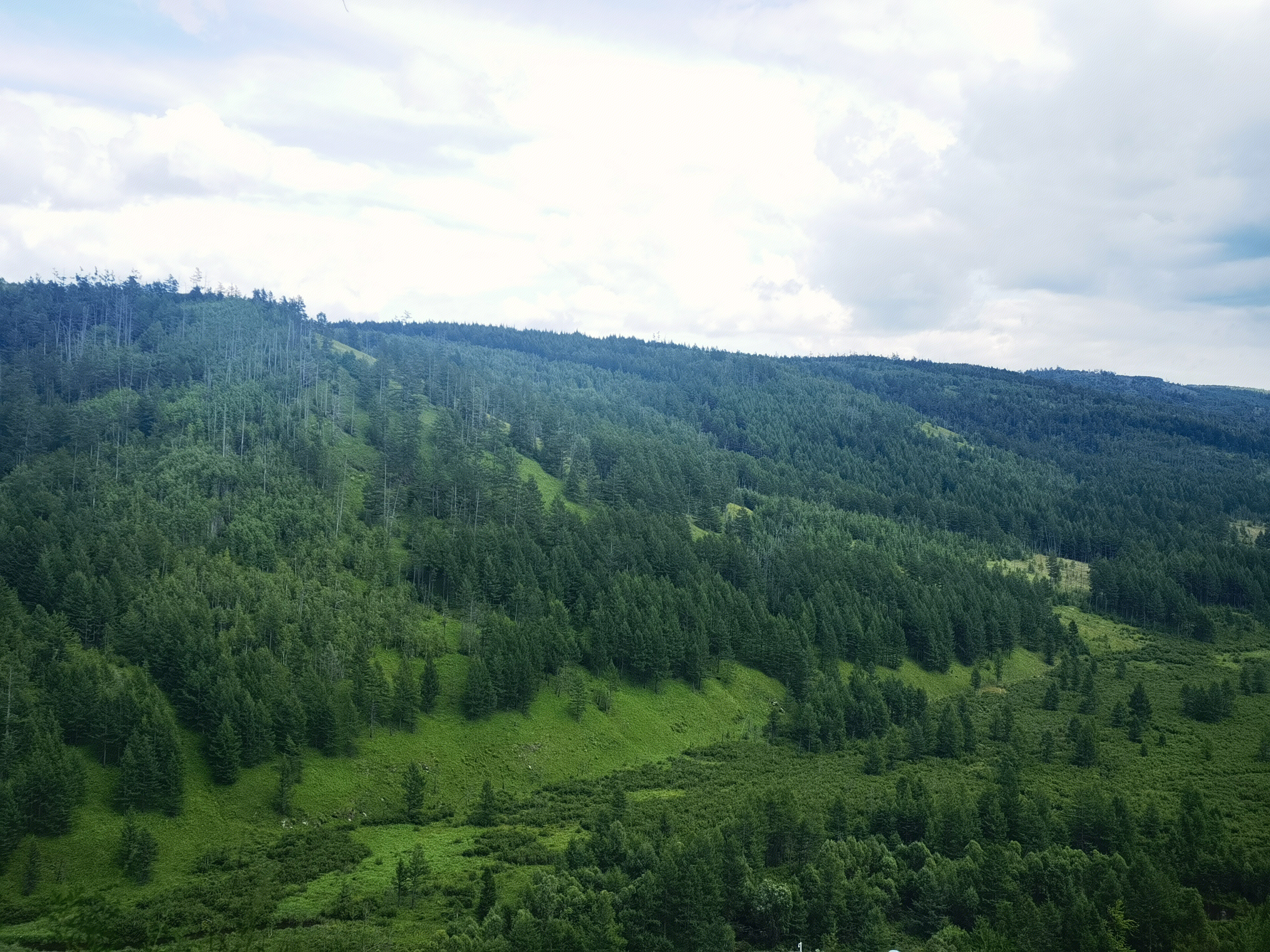 草原 森林 大兴安岭 阿尔山市