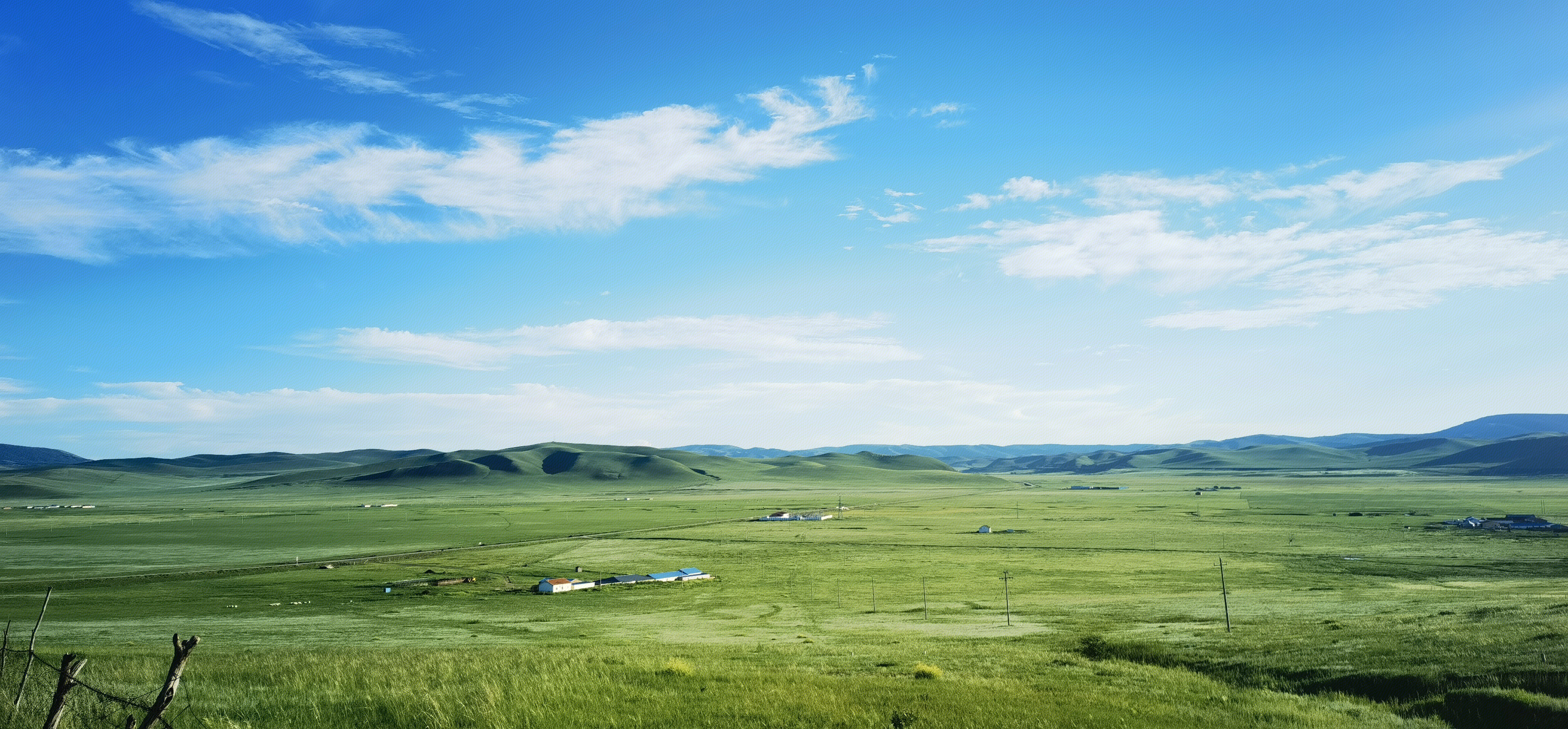 草原  内蒙古 锡林郭勒