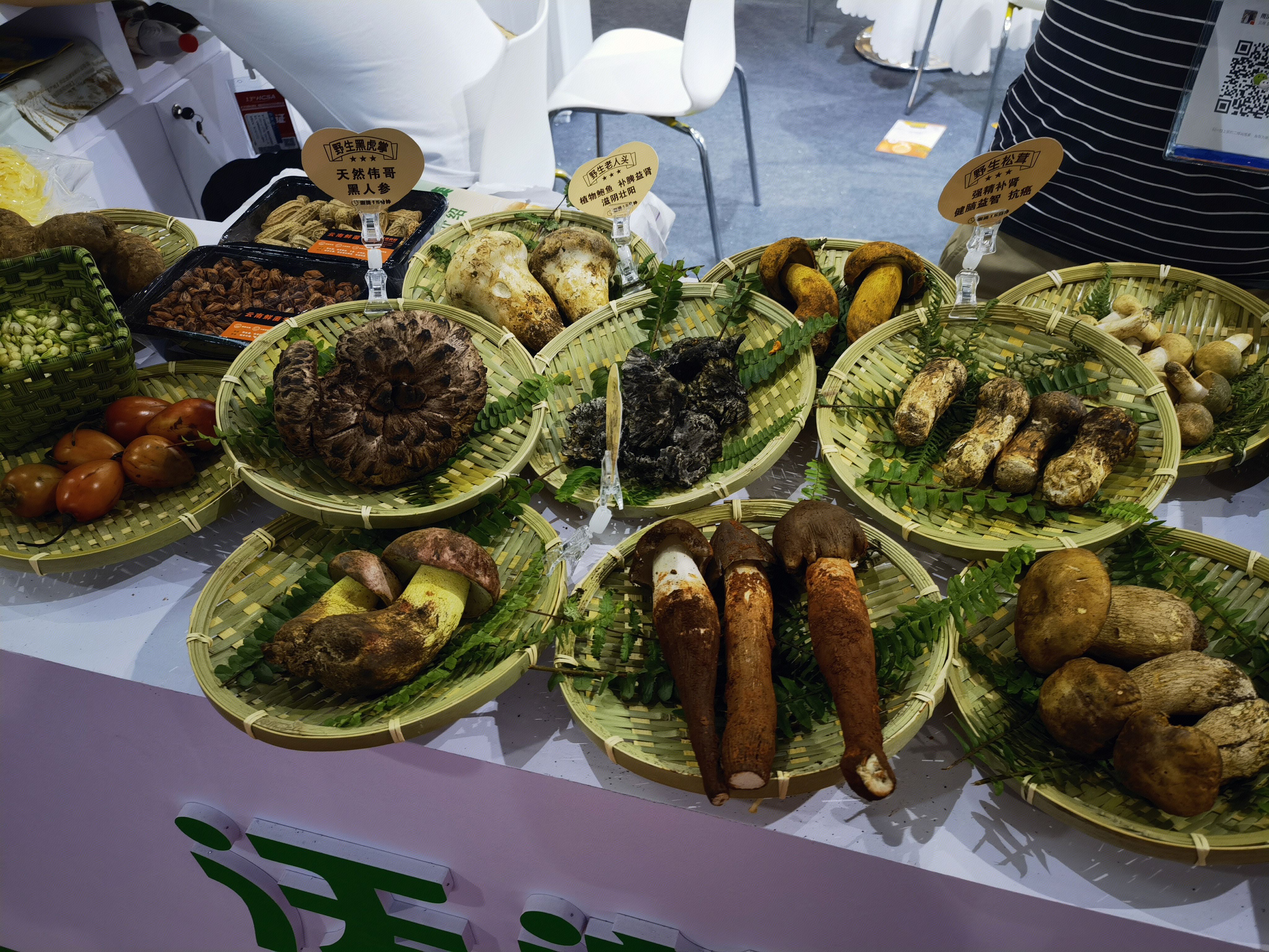 菌菇 蘑菇 松茸 黑人参 补品