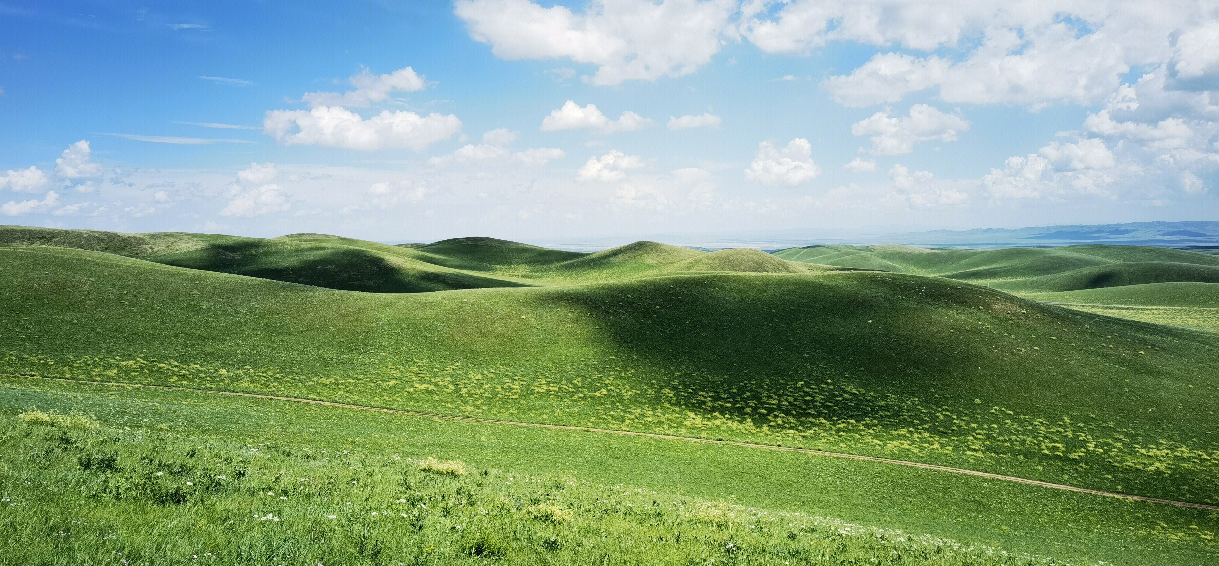 草原 内蒙古 锡林郭勒