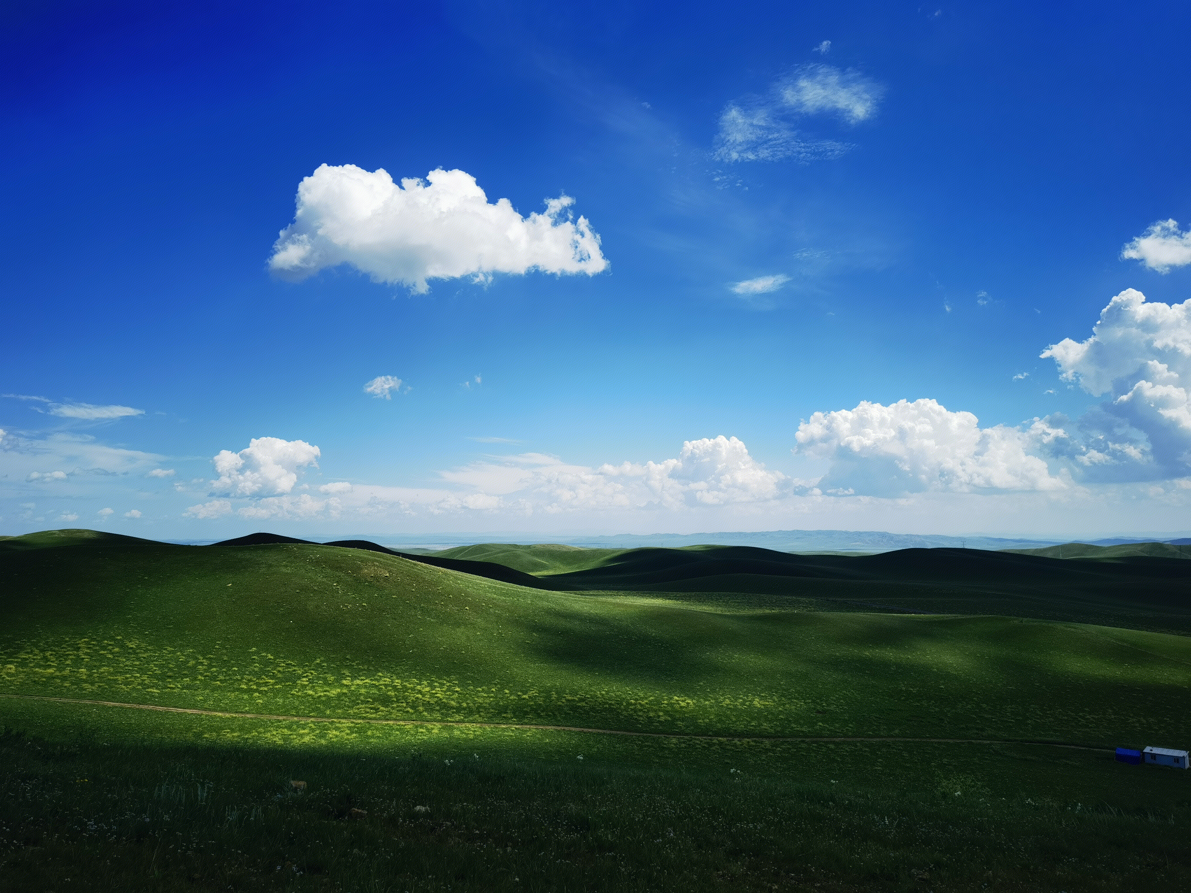 草原 内蒙古 锡林郭勒