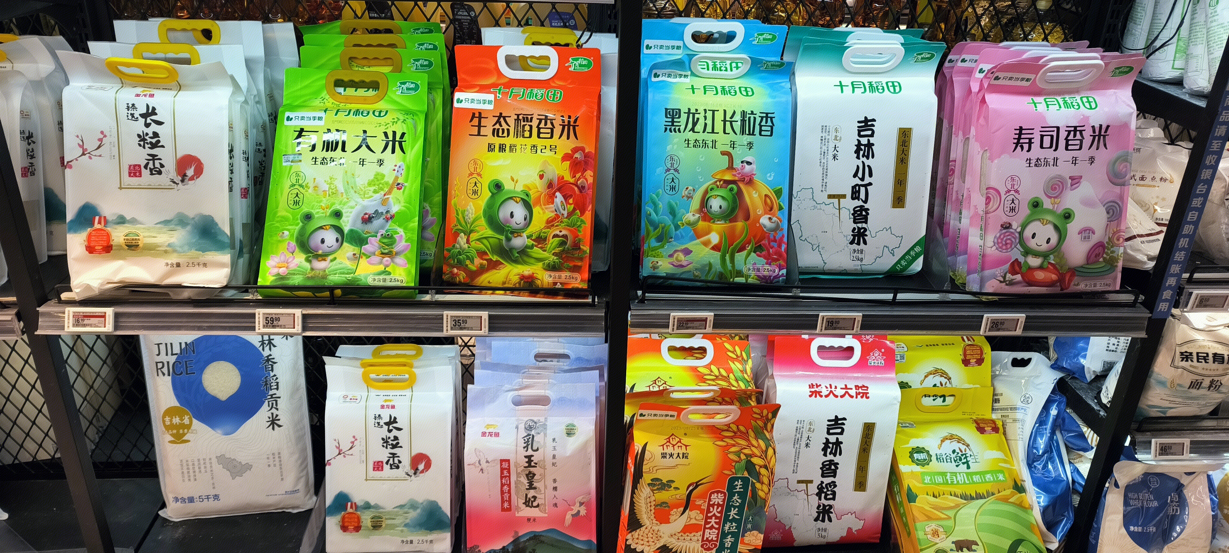 大米 稻米 米 谷类 谷类货架