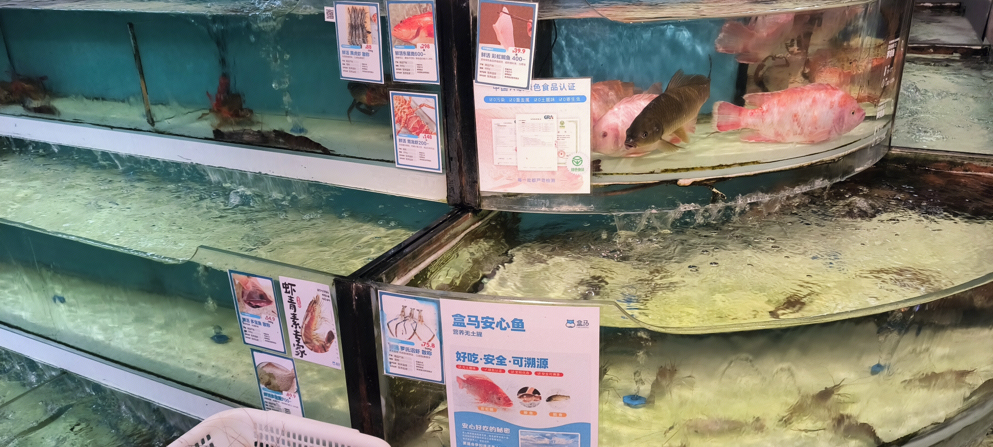 海鲜 鱼类 鱼缸 海鲜产品区