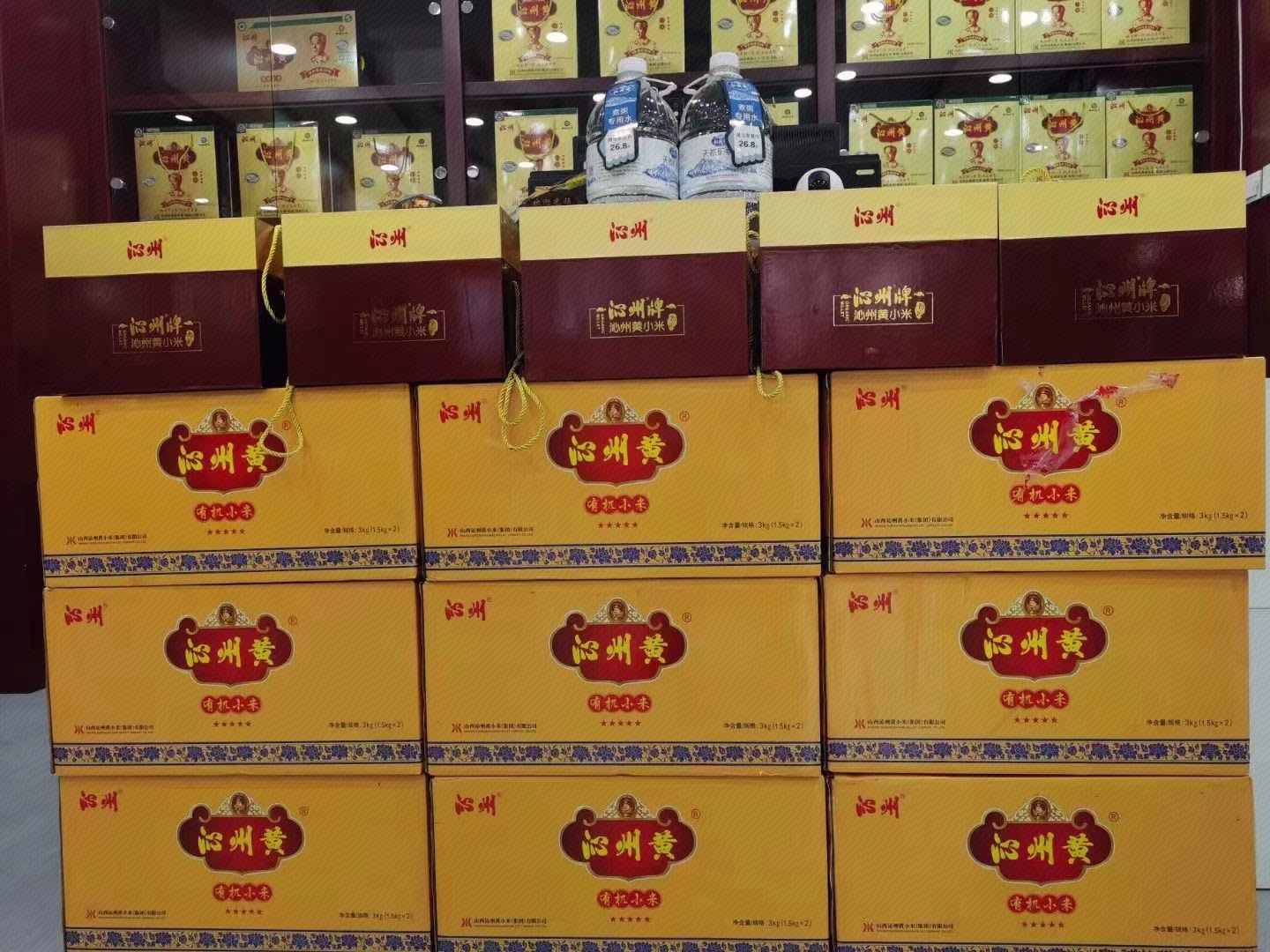 LUMIX 相机品牌 相机 松下电器