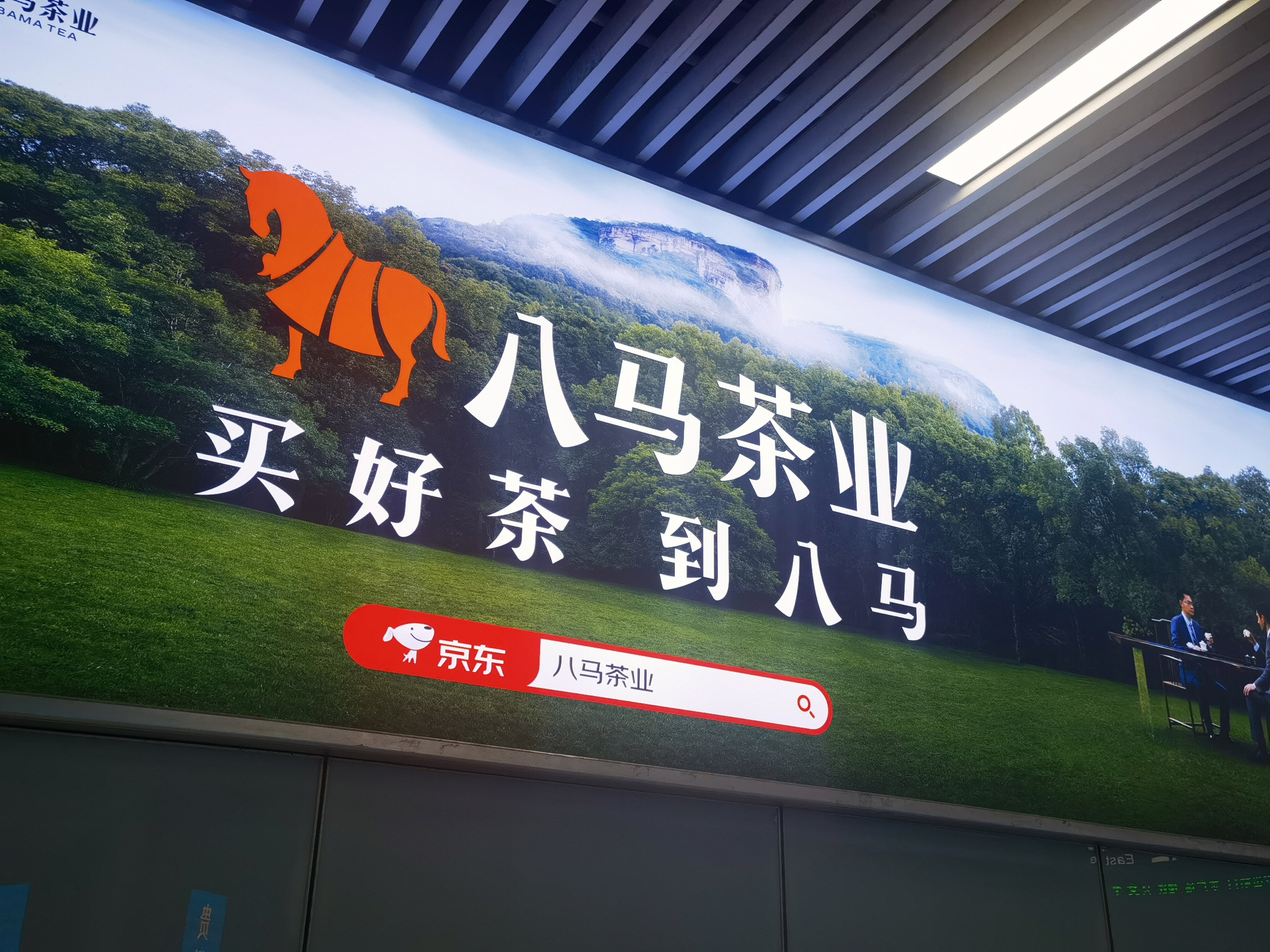 八马茶业 茶叶 中式茶