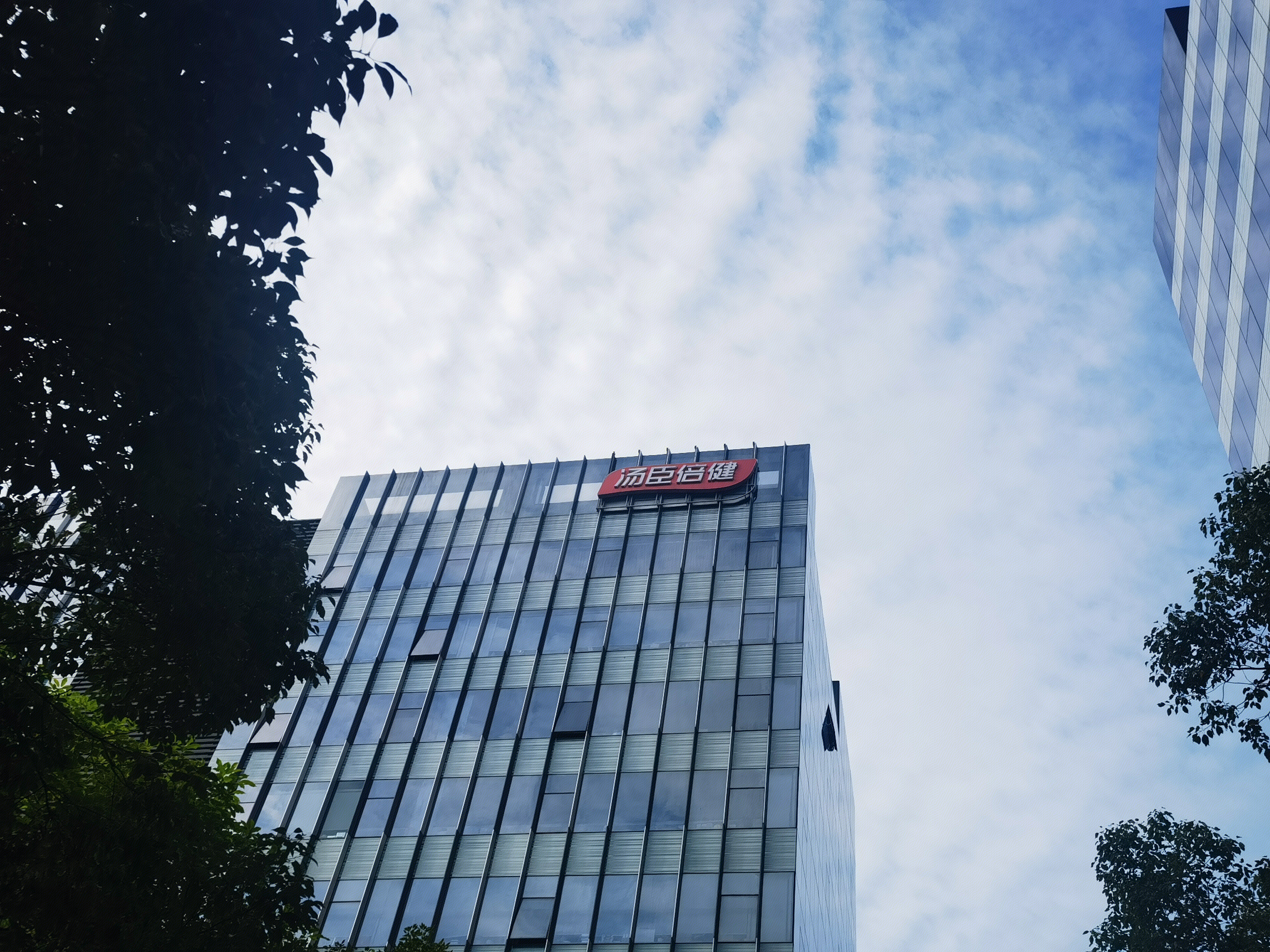 汤臣倍健 保健品 蛋白粉 大健康