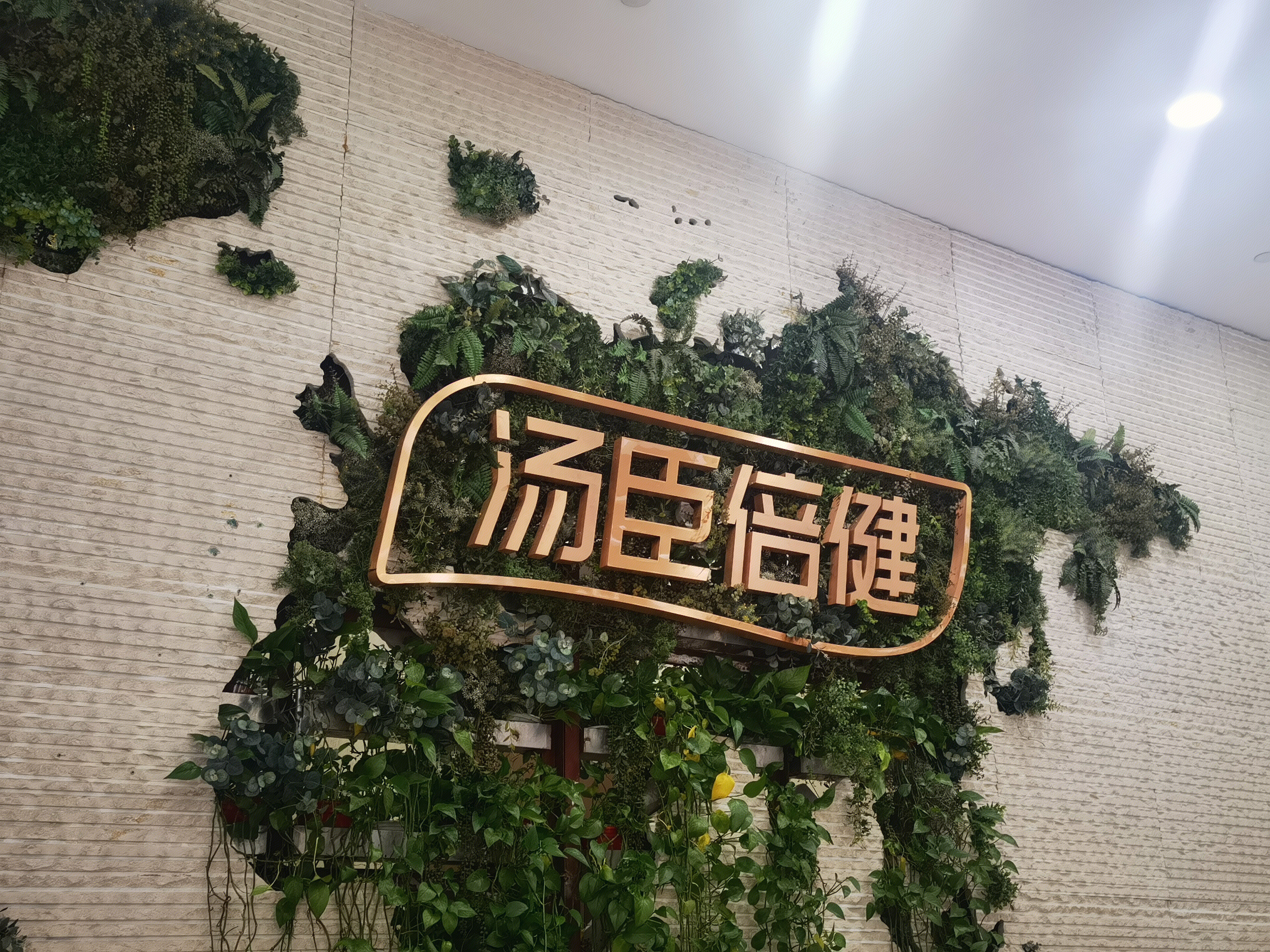 汤臣倍健 保健品 蛋白粉 大健康