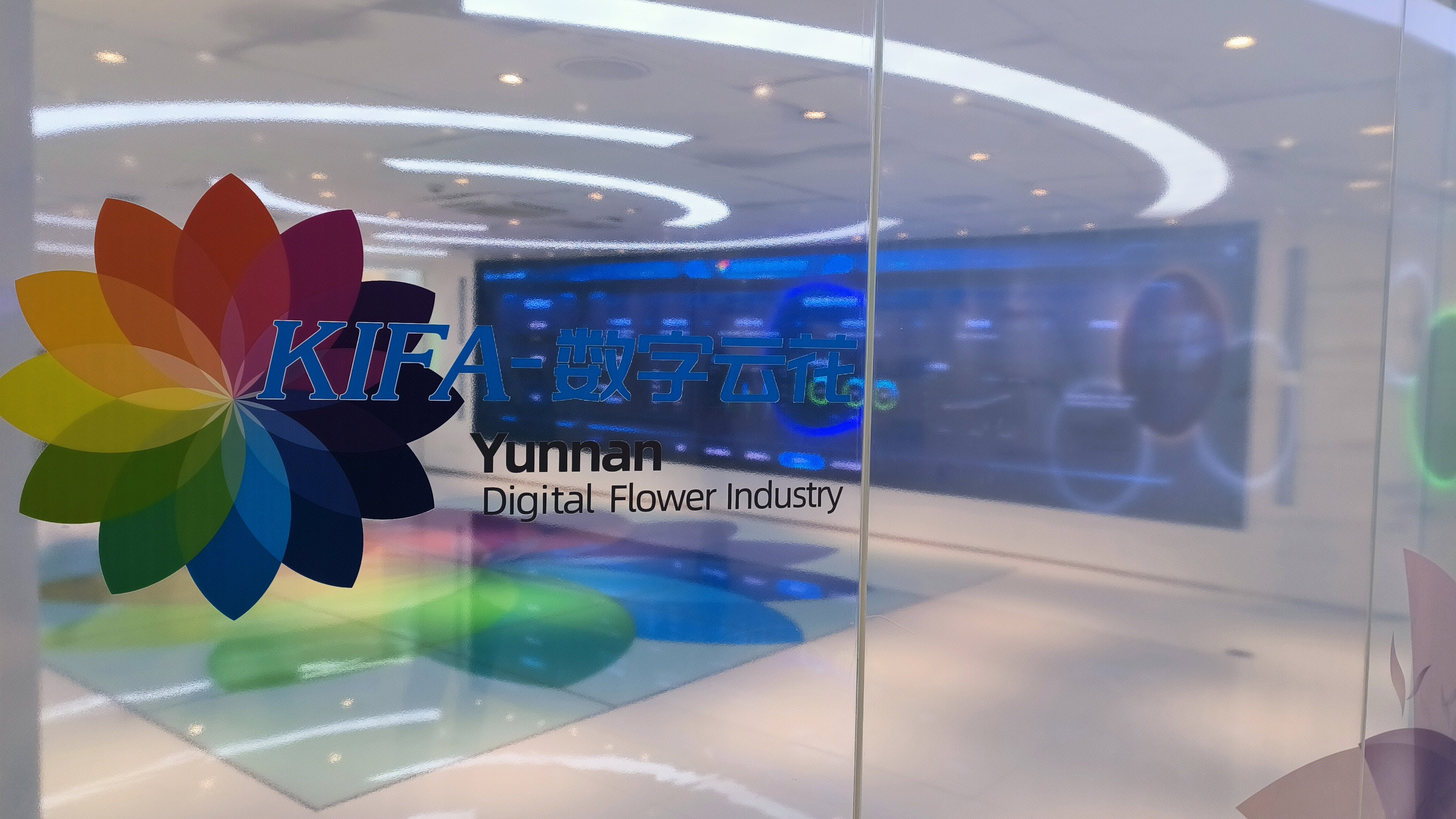昆明花拍中心 KIFA 数字云花