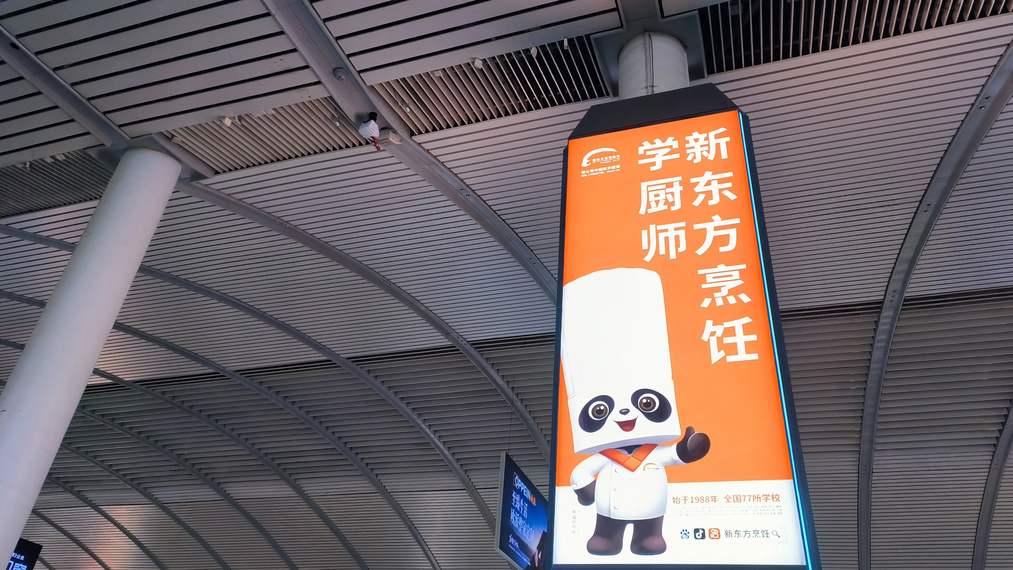 新东方烹饪学校 厨师培训宣传海报