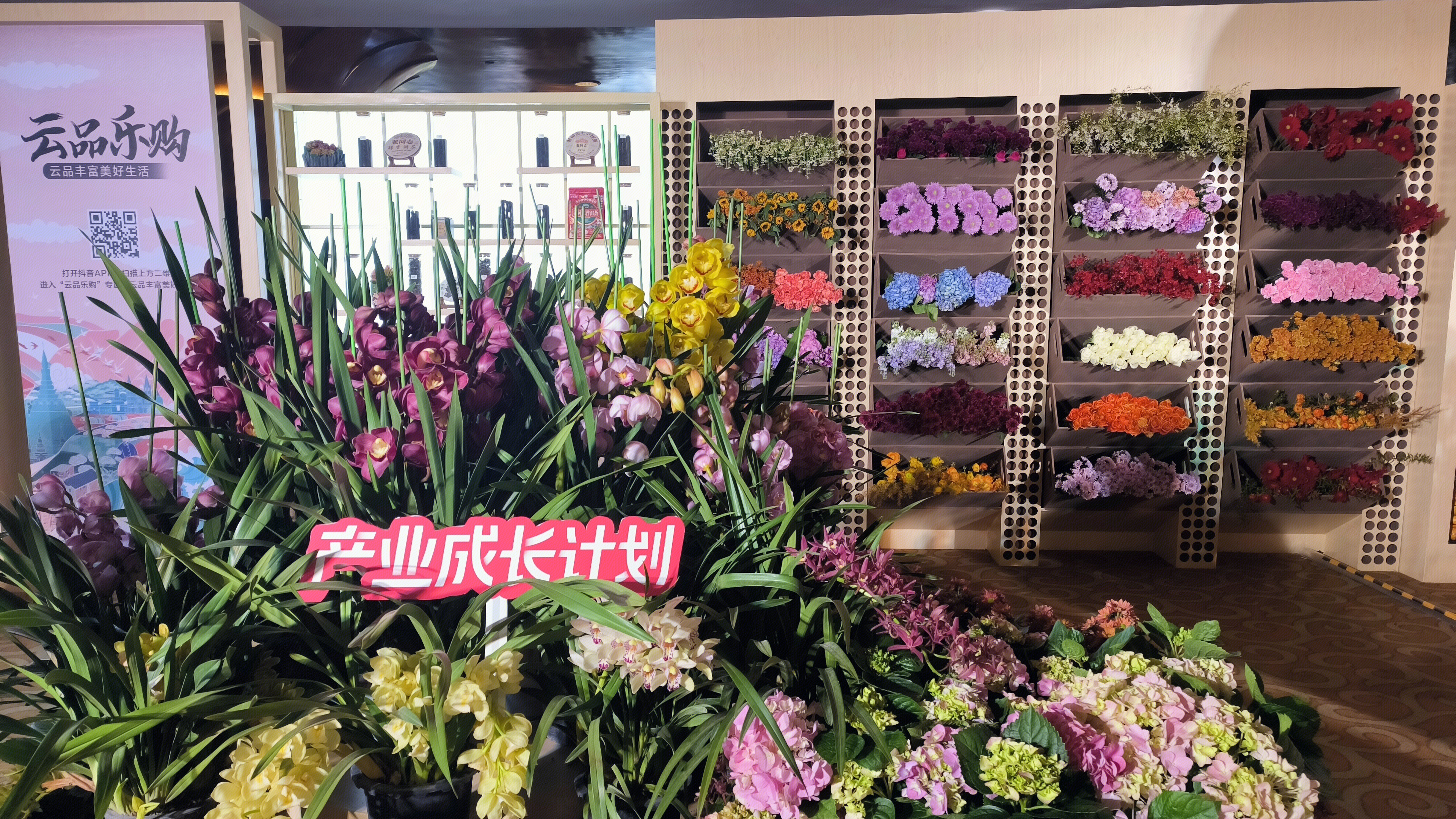 云品乐购 云南花卉 云南特产