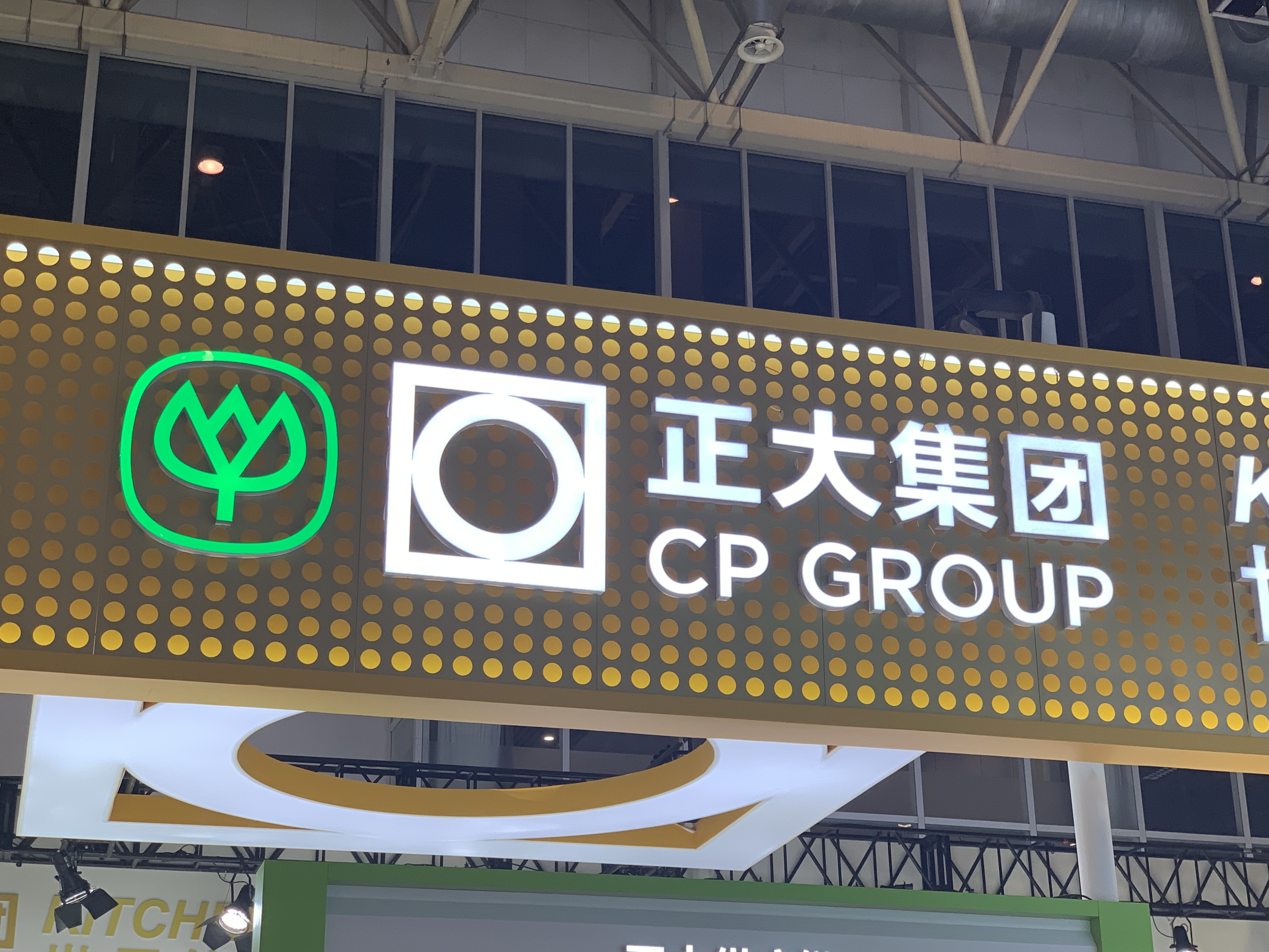 正大集团 CP GROUP 华人跨国公司