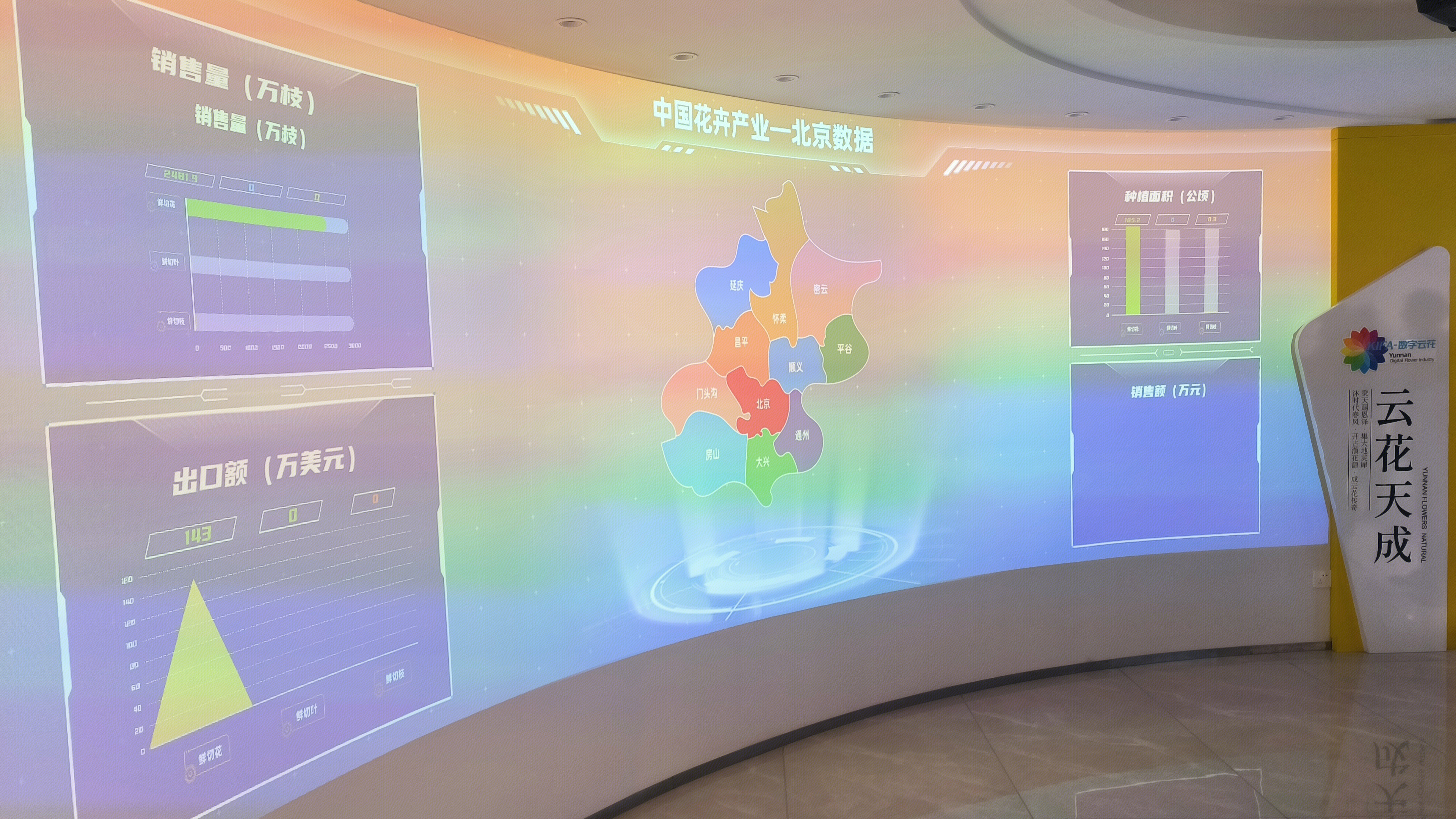 昆明花拍中心 KIFA 数字云花 云花天成 中国和花卉产业-北京数据图