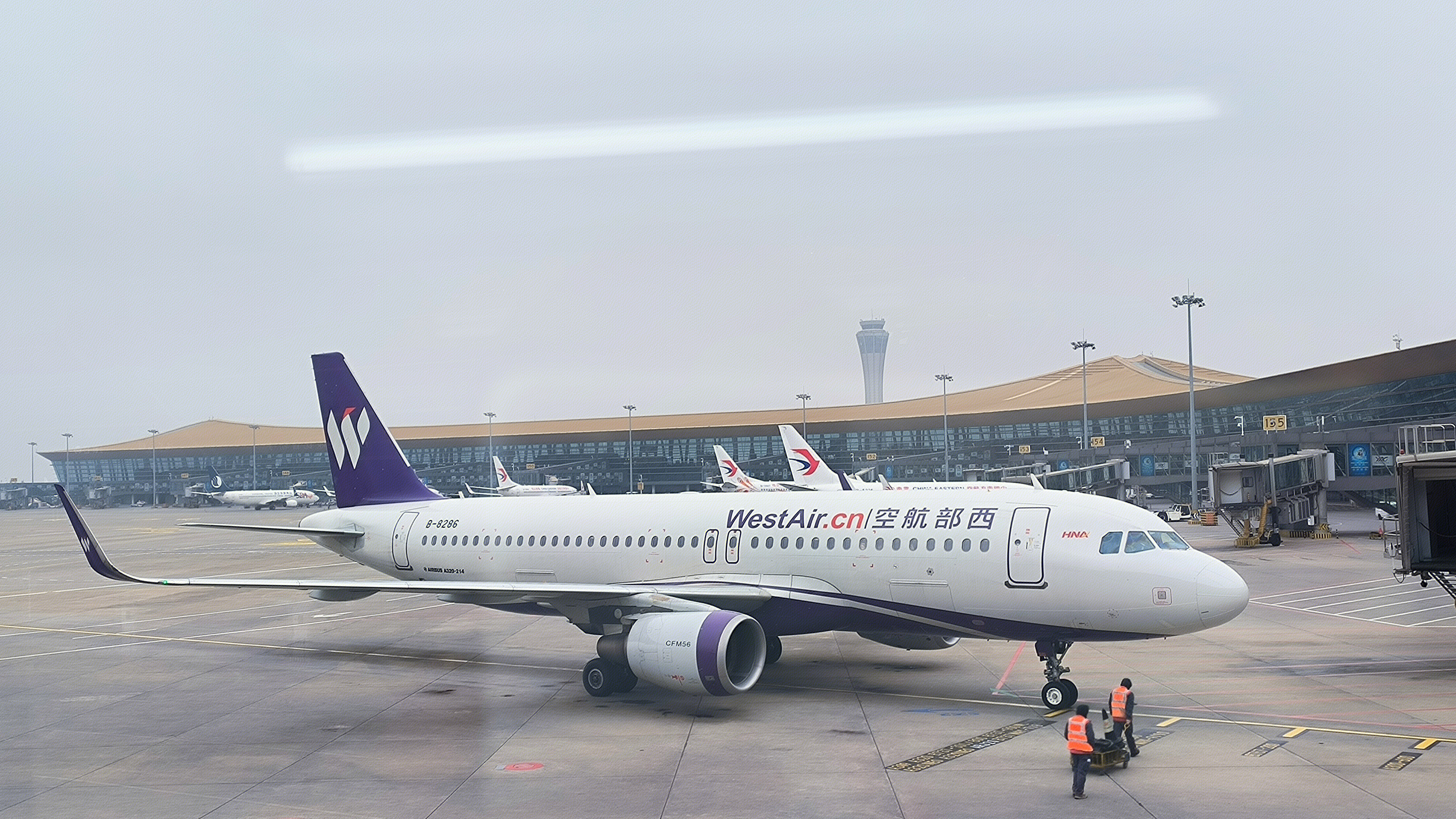 飞机 西部航空 航站楼 机场