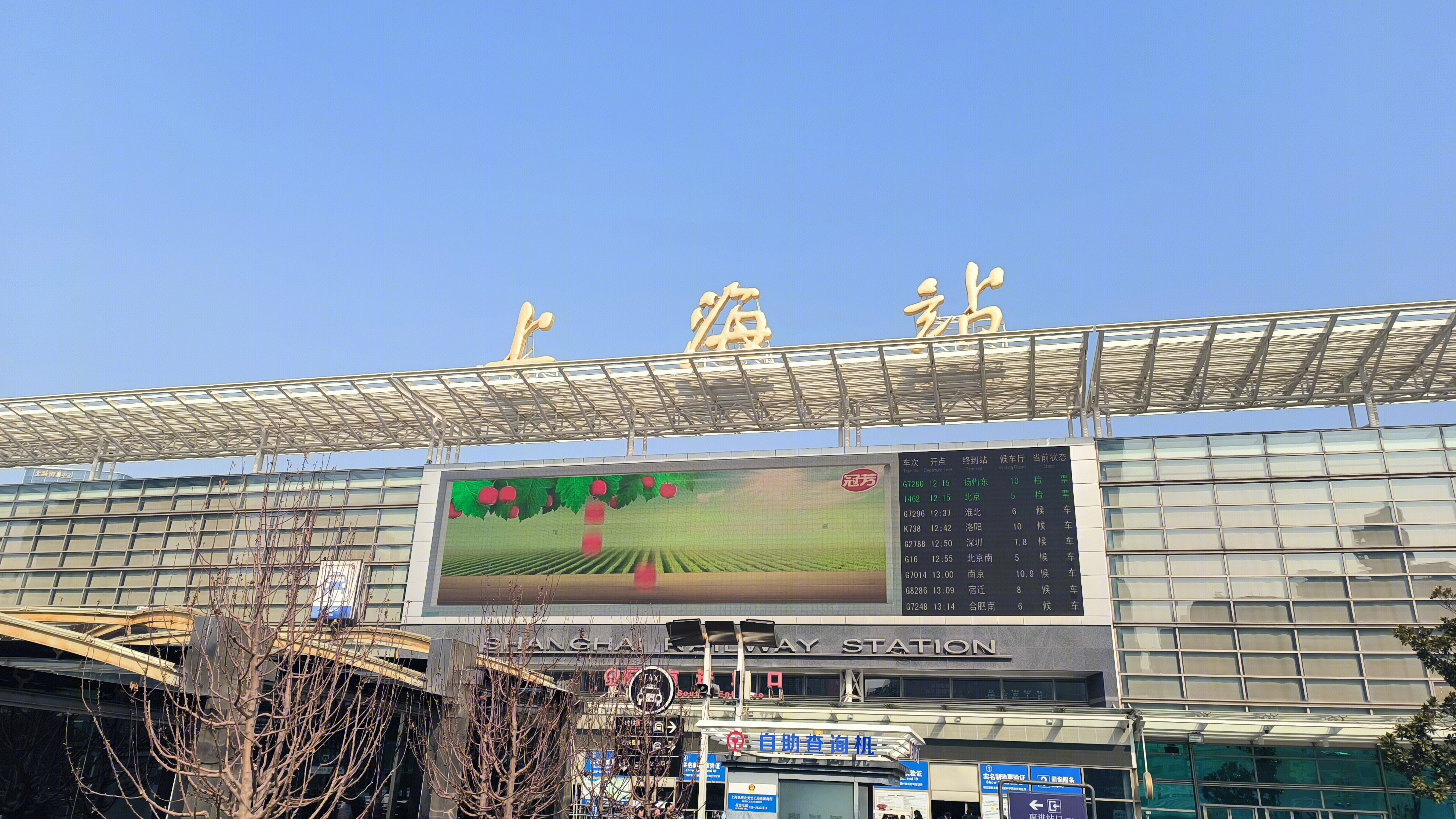 上海站 冠芳 山楂树下