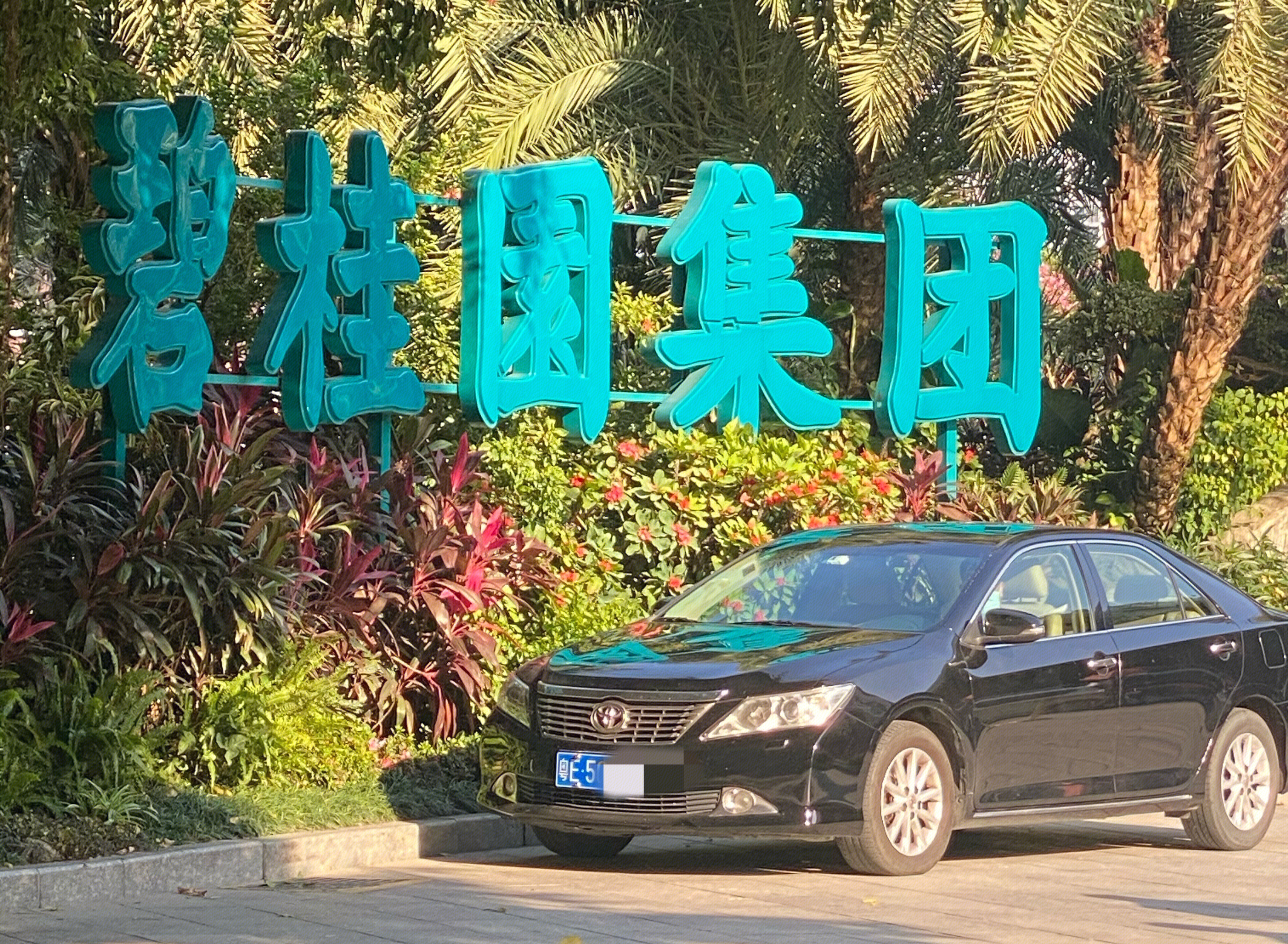 碧桂园集团 房地产 开发商