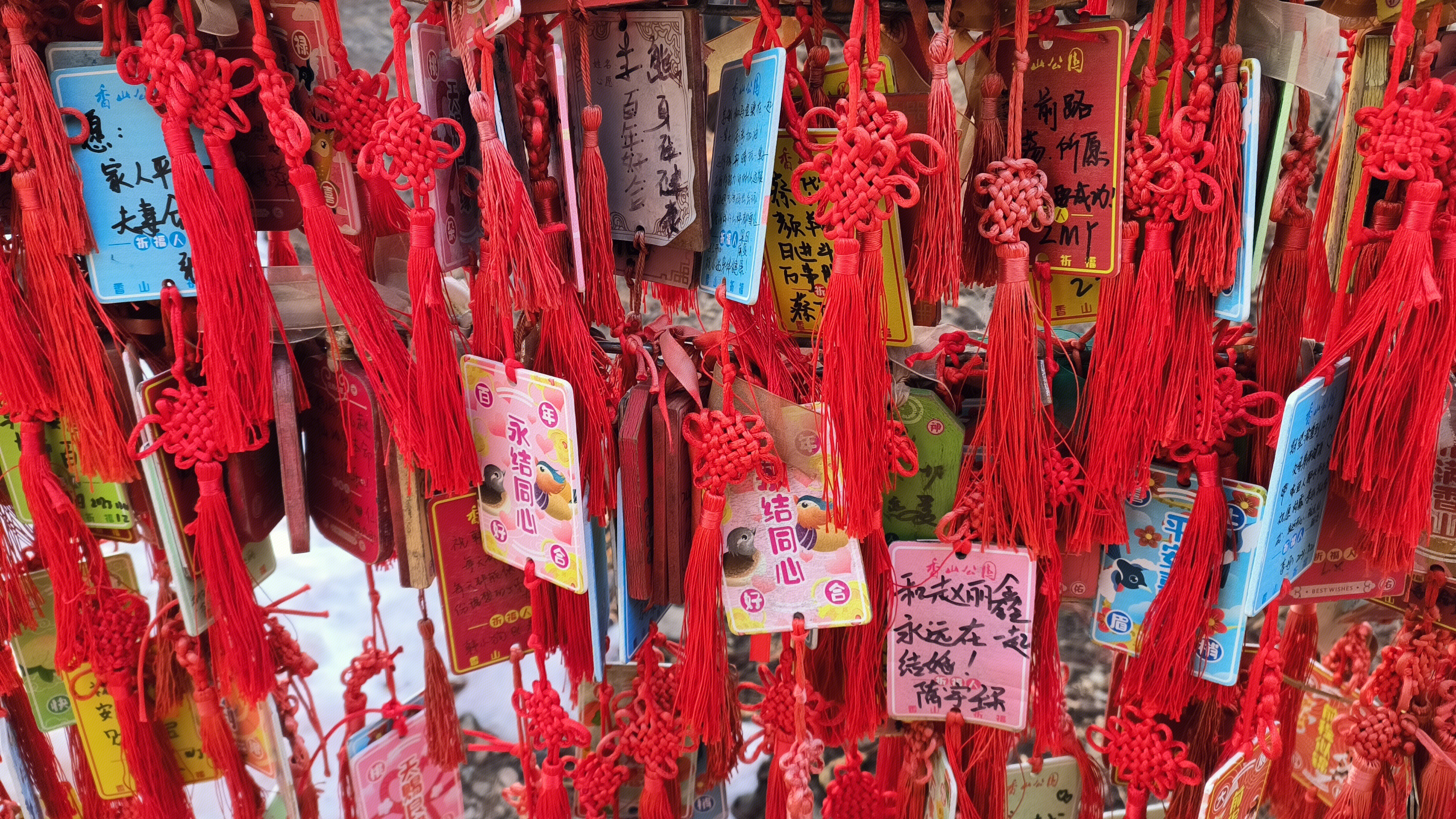 香山公园 许愿卡 祈福卡