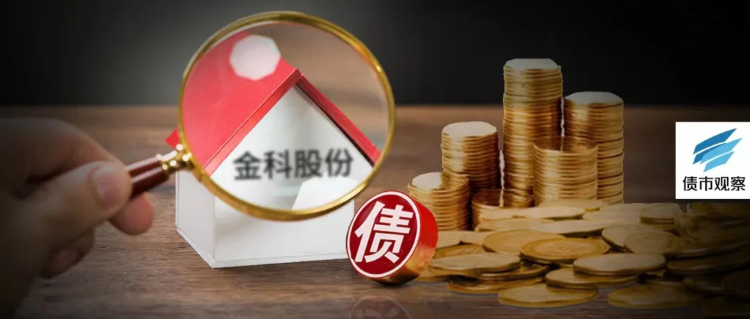 黄红云和金科的“接盘侠”长城国富什么来头？