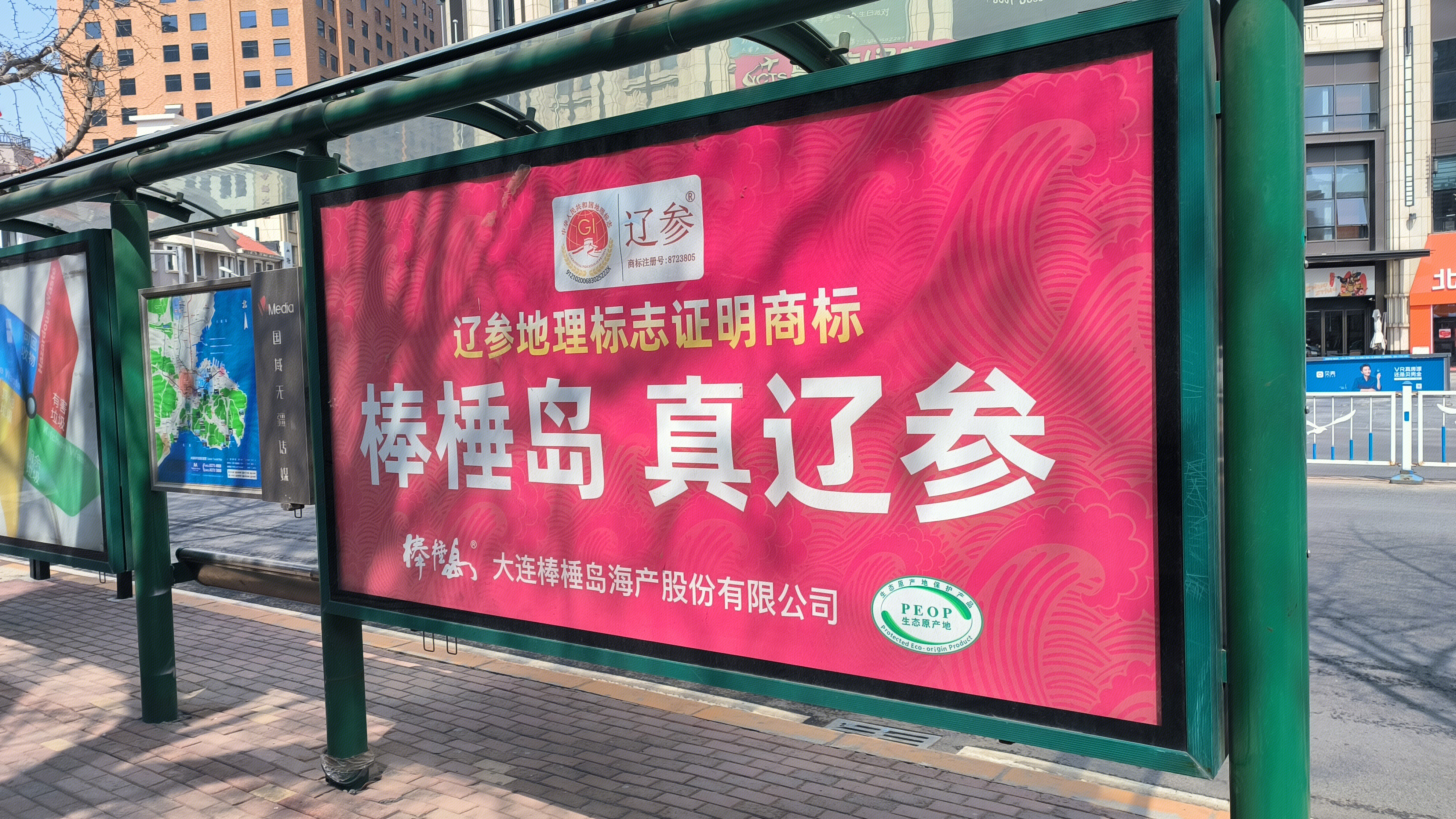 辽参 大连海参 棒棰岛 大连棒棰岛海产股份有限公司