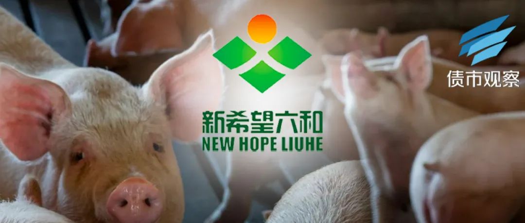 新希望负债938亿，“豪赌”猪和饲料能赢吗？