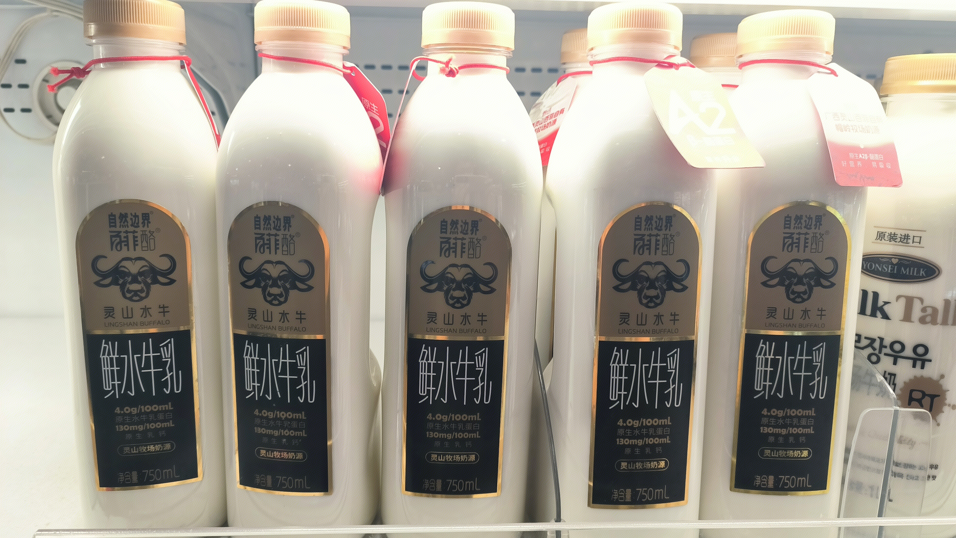 鲜水牛乳 百菲酪 牛奶 乳制品