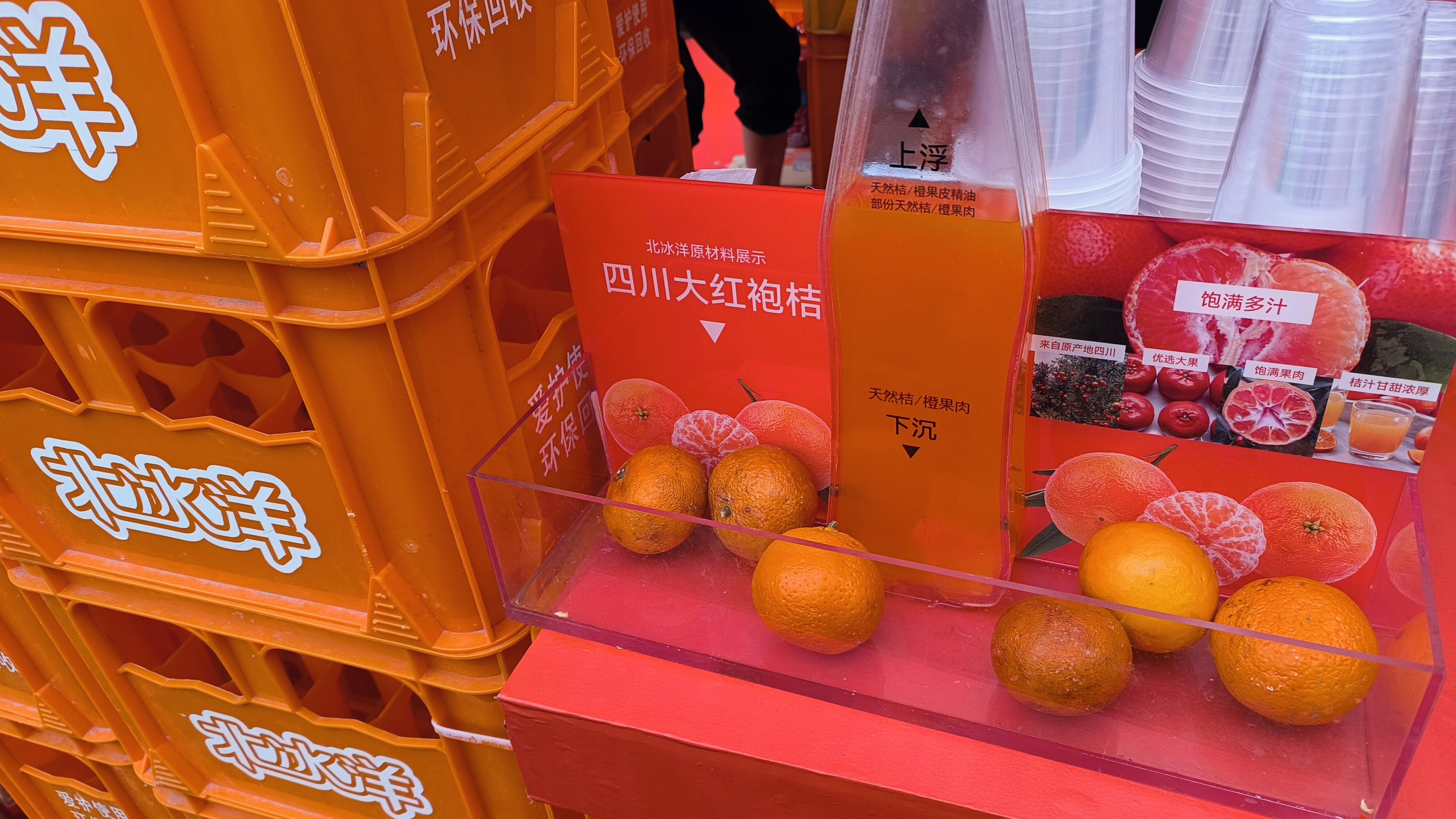北冰洋 饮料 碳酸饮料 汽水 饮品 水果 桔子
