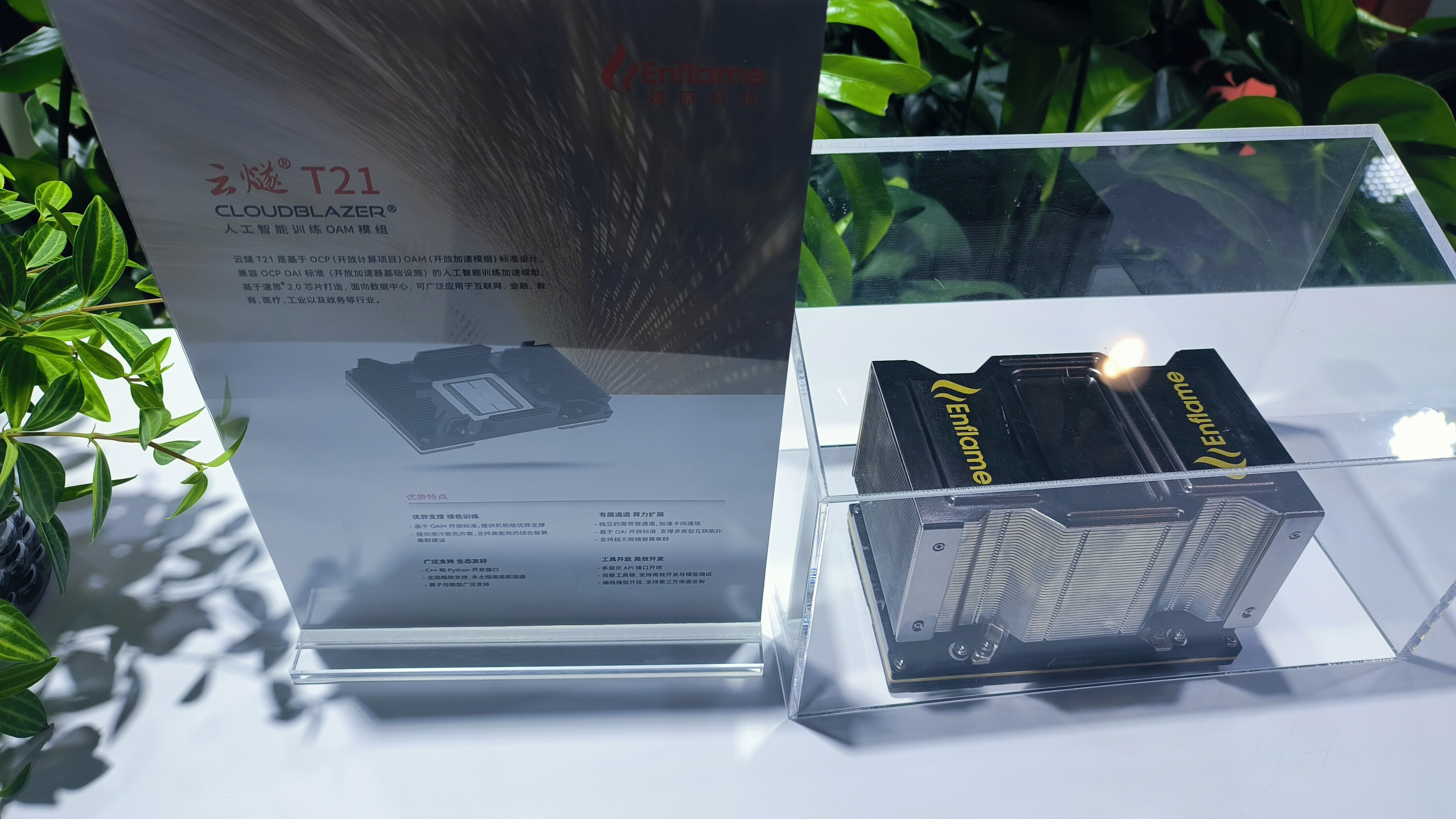 云遂 T21 人工智能训练OAM模组 Enflame  enflame  燧原科技