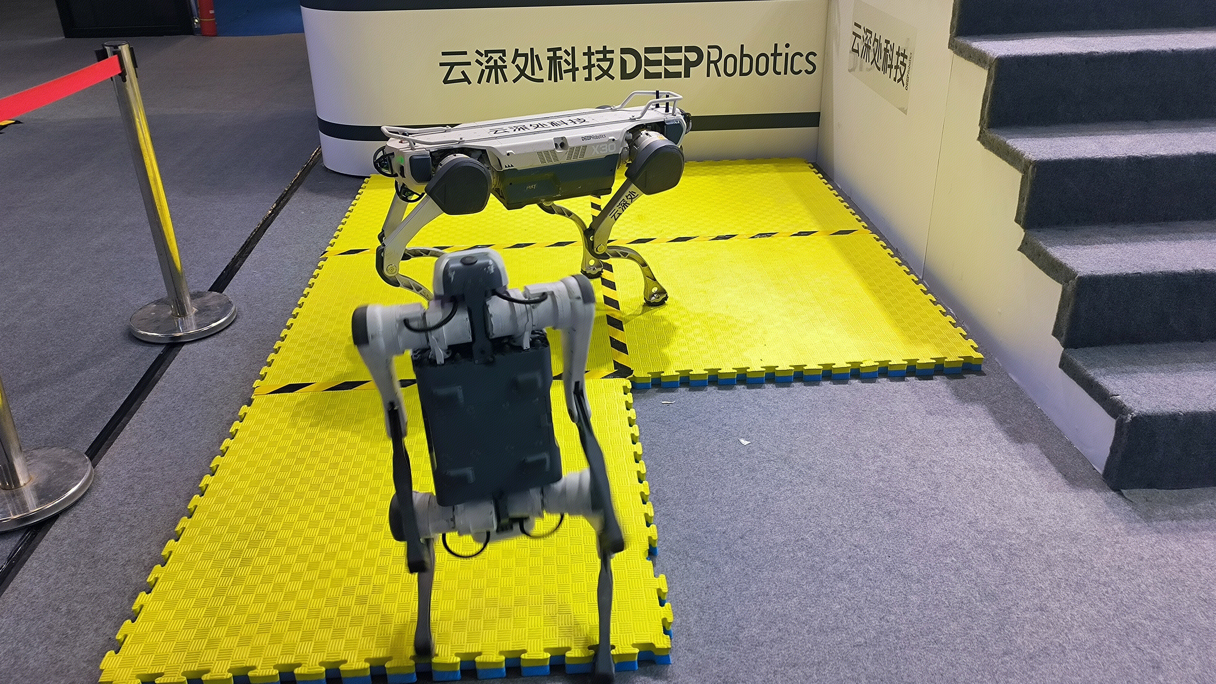 云深处科技 DEEP Robotics 四足机器人 大模型机器人