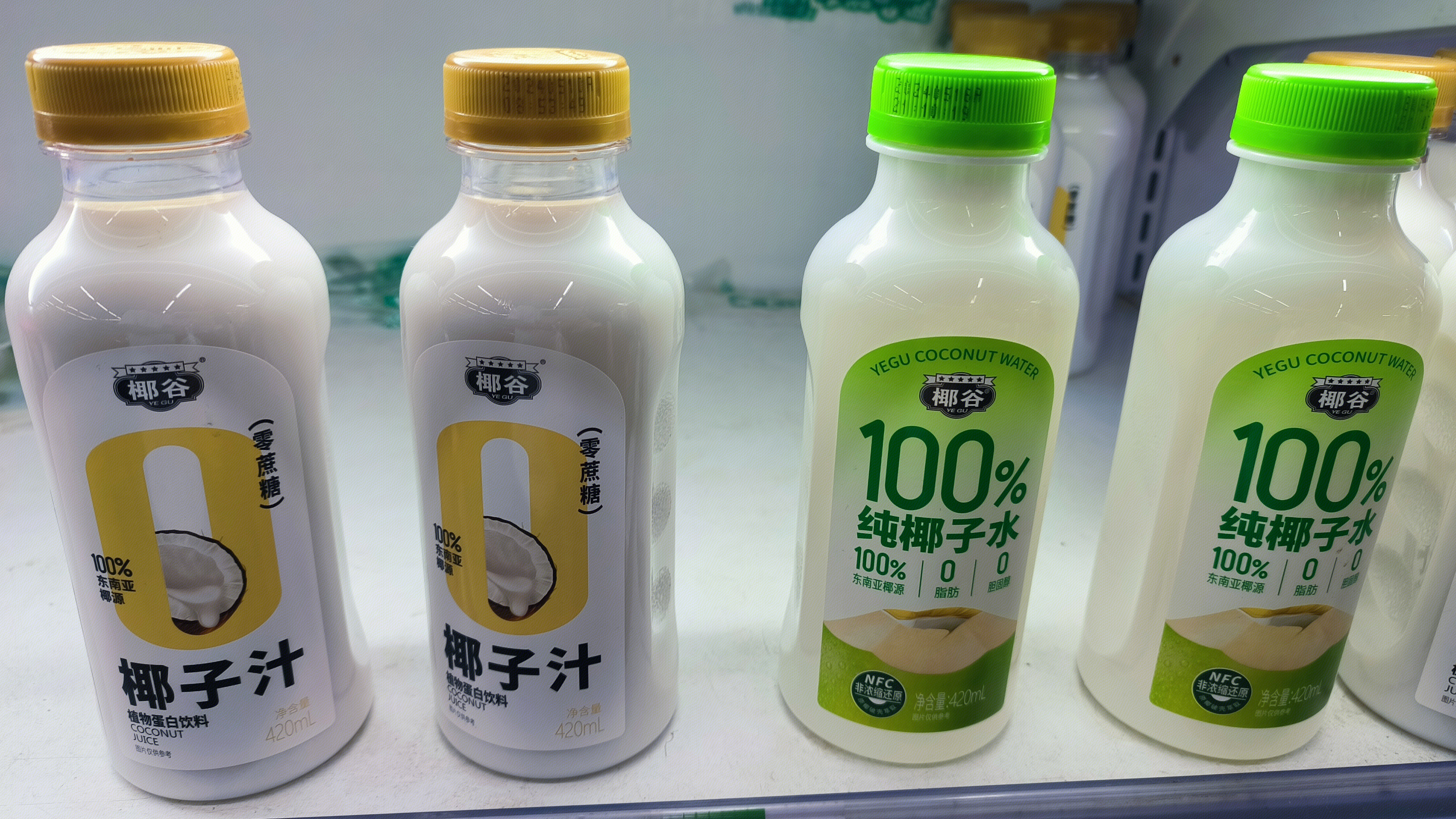 椰谷 椰子水 植物蛋白饮料 饮品