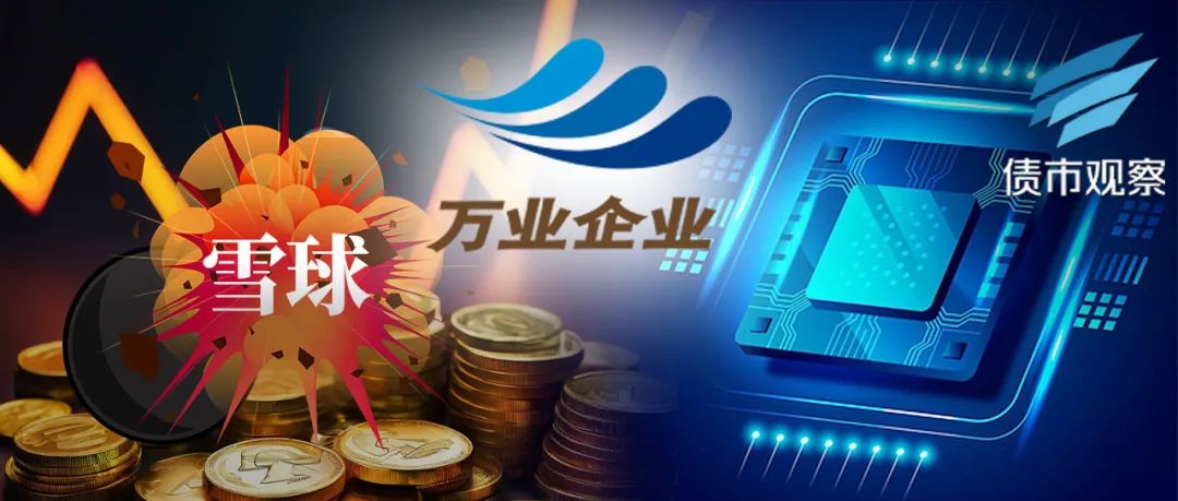 半年亏了5559万！不割穷人的“雪球”收割上市公司