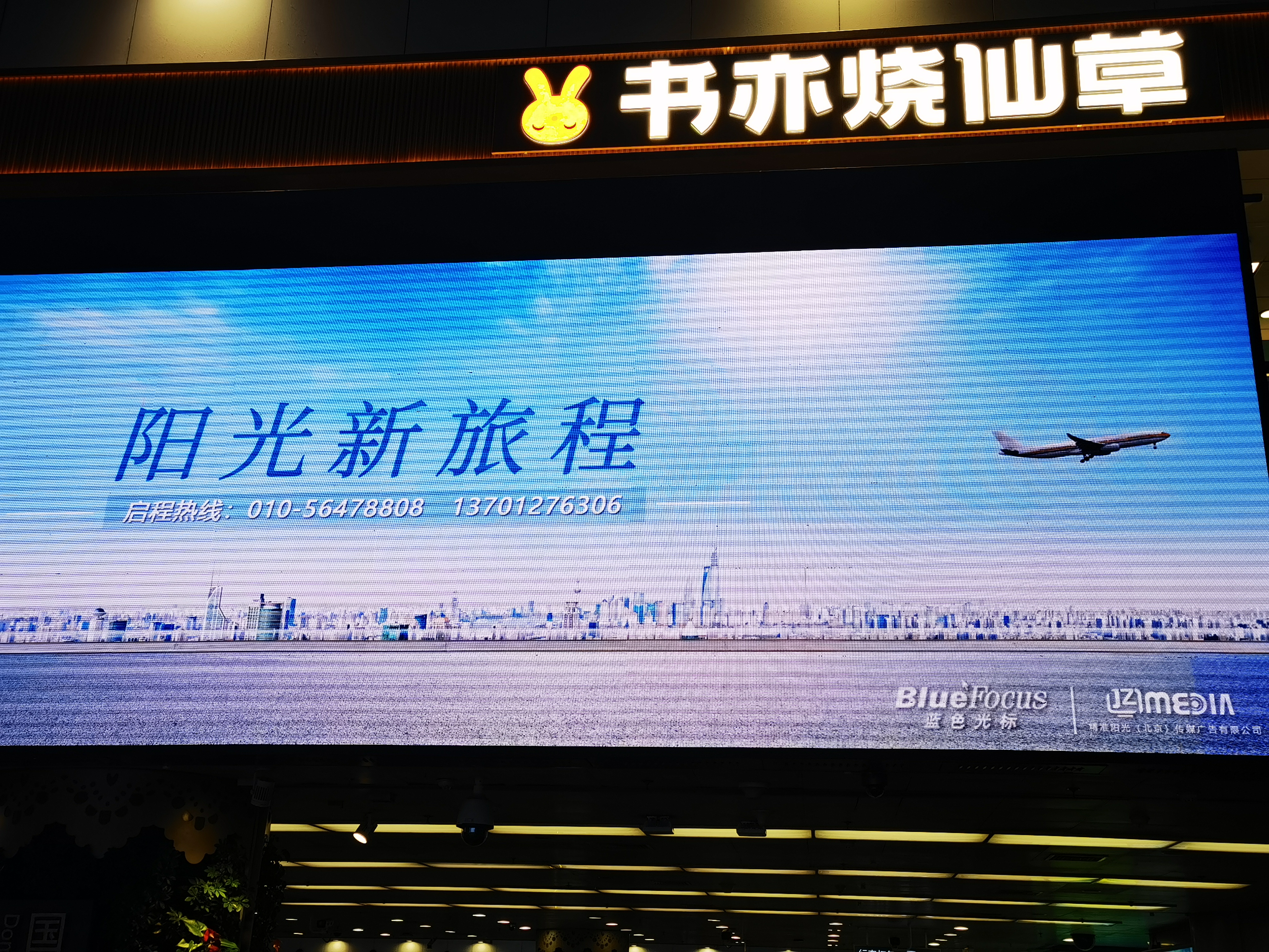 书亦烧仙草 BlueFocus 蓝色光标 营销科技公司