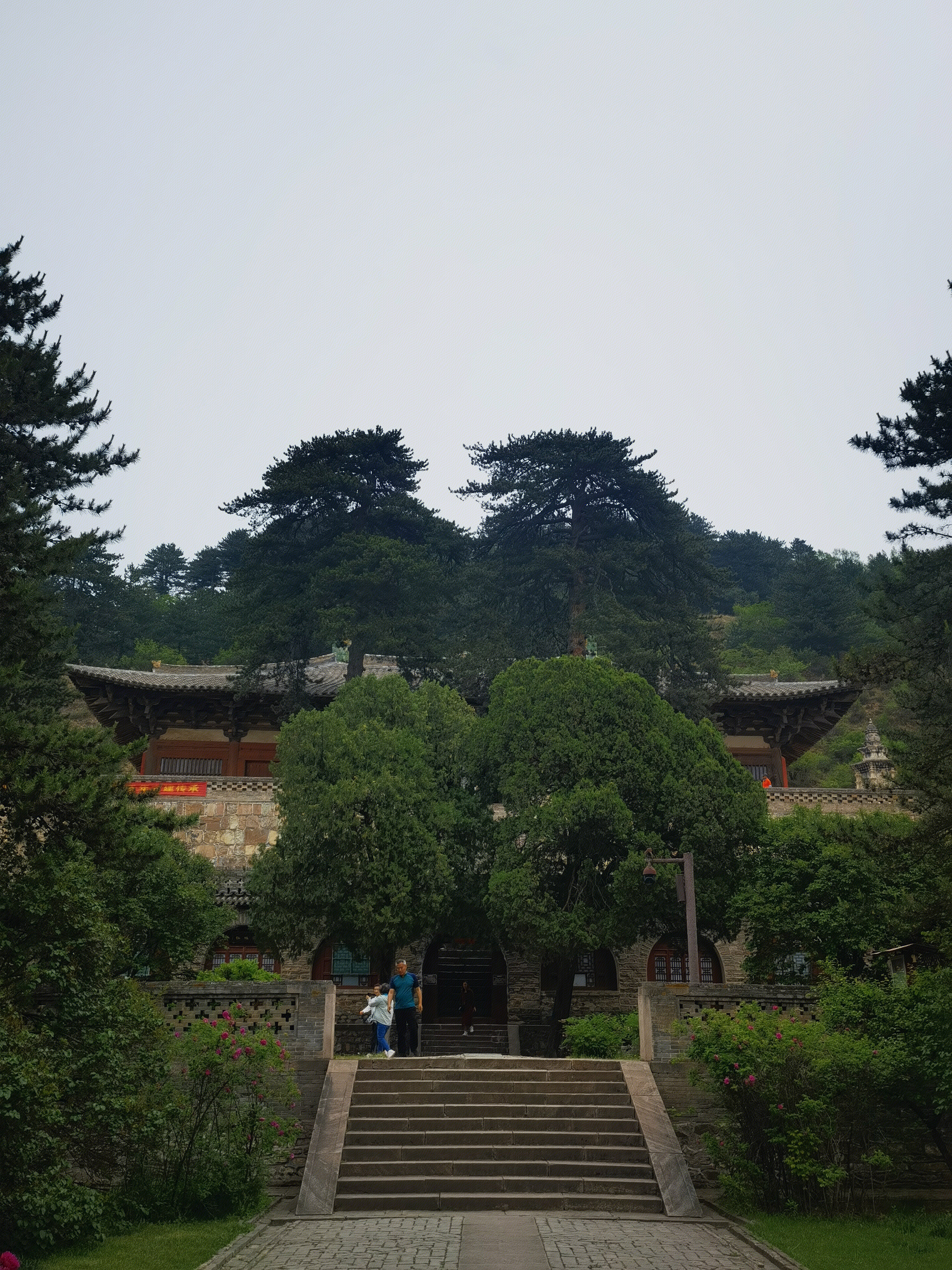 五台山 古建筑 山西建筑 树林
