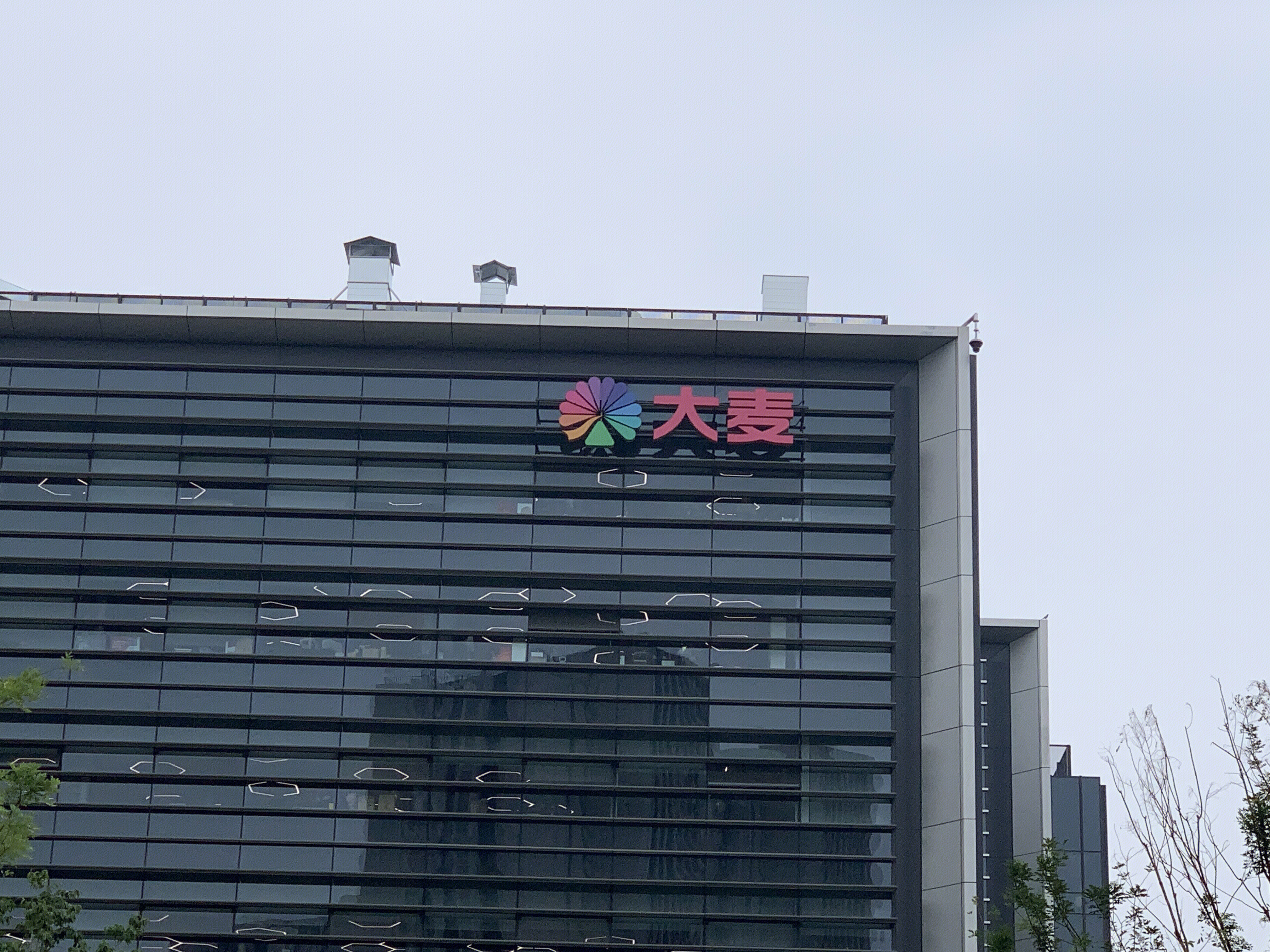大麦 大麦总部 综合性娱乐公司 游戏娱乐票务中心提供方