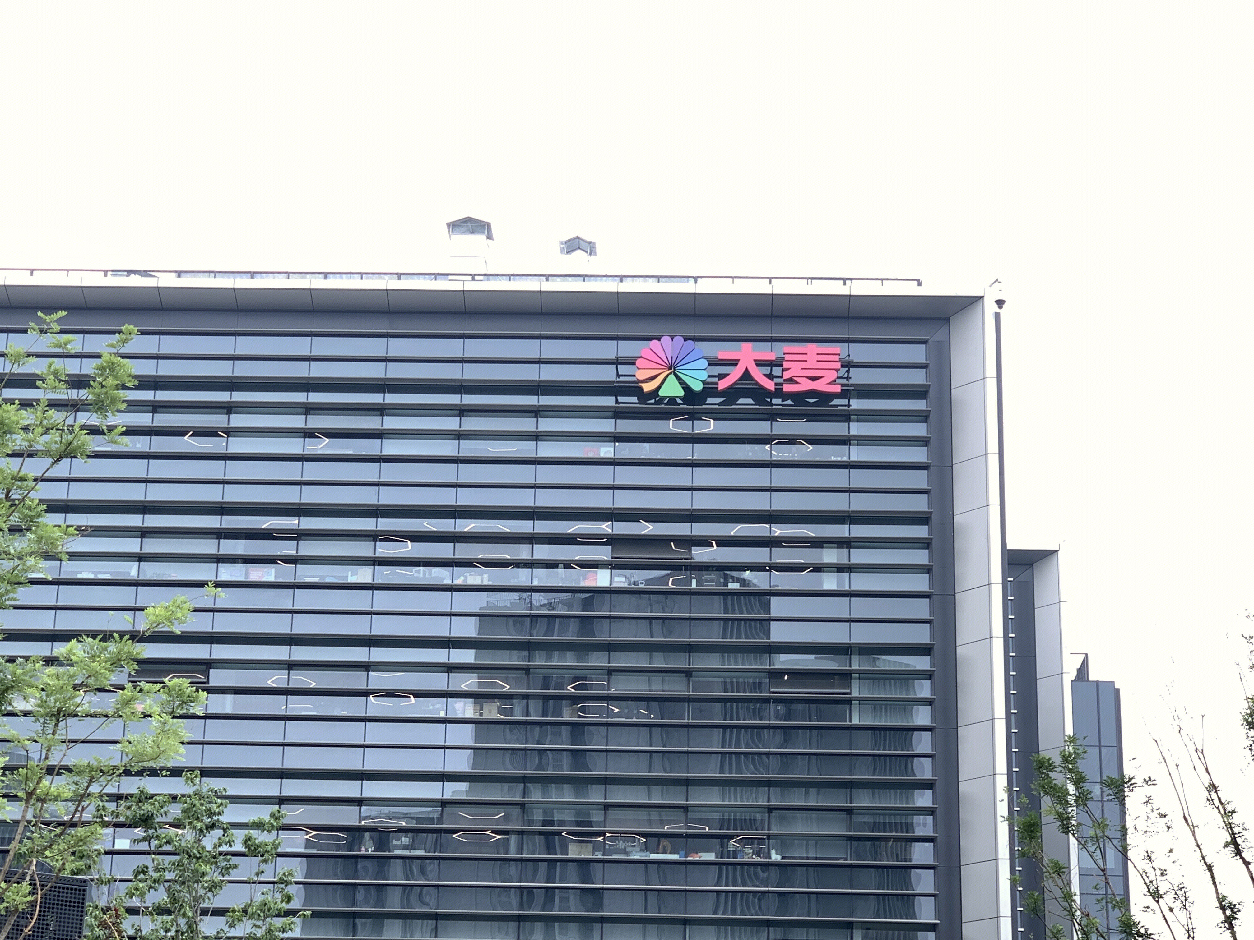 大麦 大麦总部 综合性娱乐公司 游戏娱乐票务中心提供方