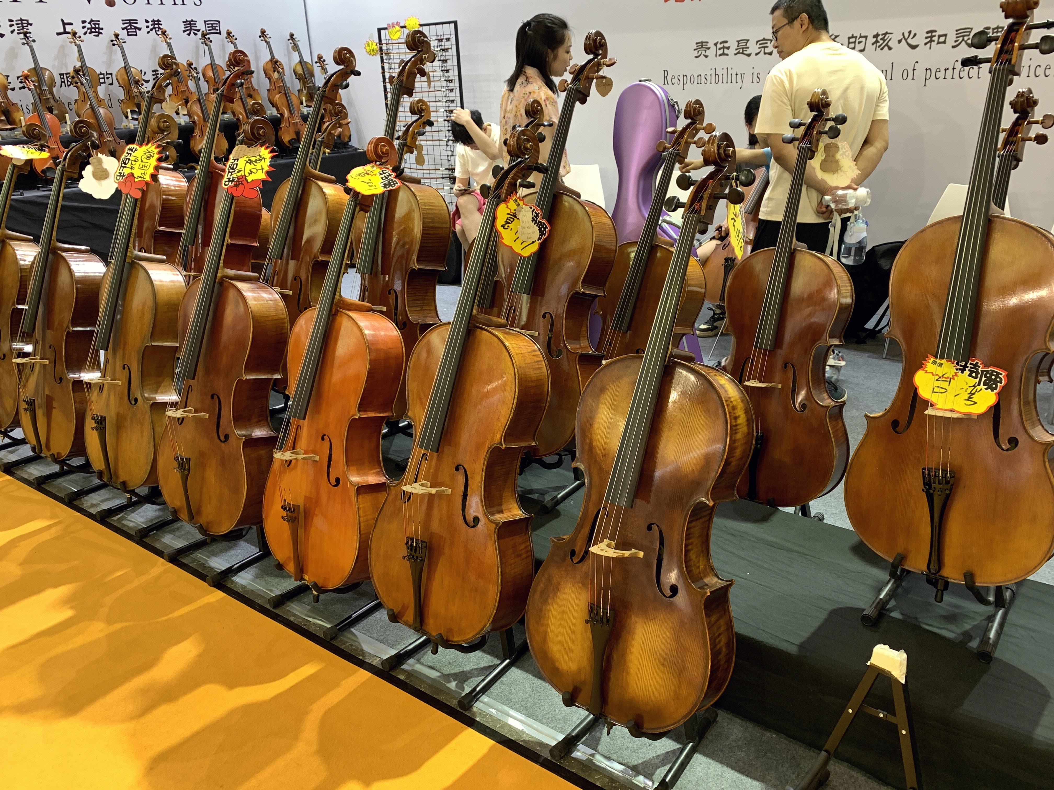 大提琴 乐器 古典提琴艺术展 西洋乐器