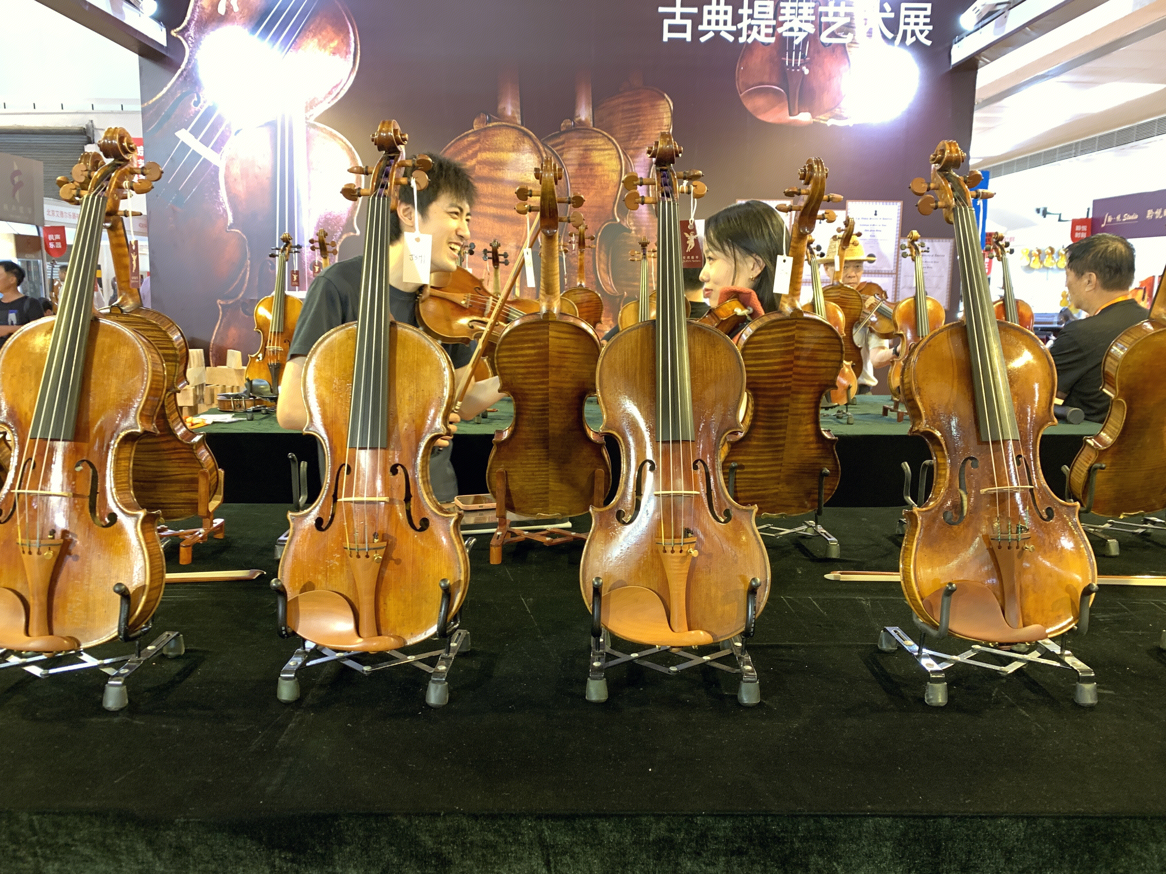 乐器 小提琴 大提琴 古典提琴艺术展 西洋乐器