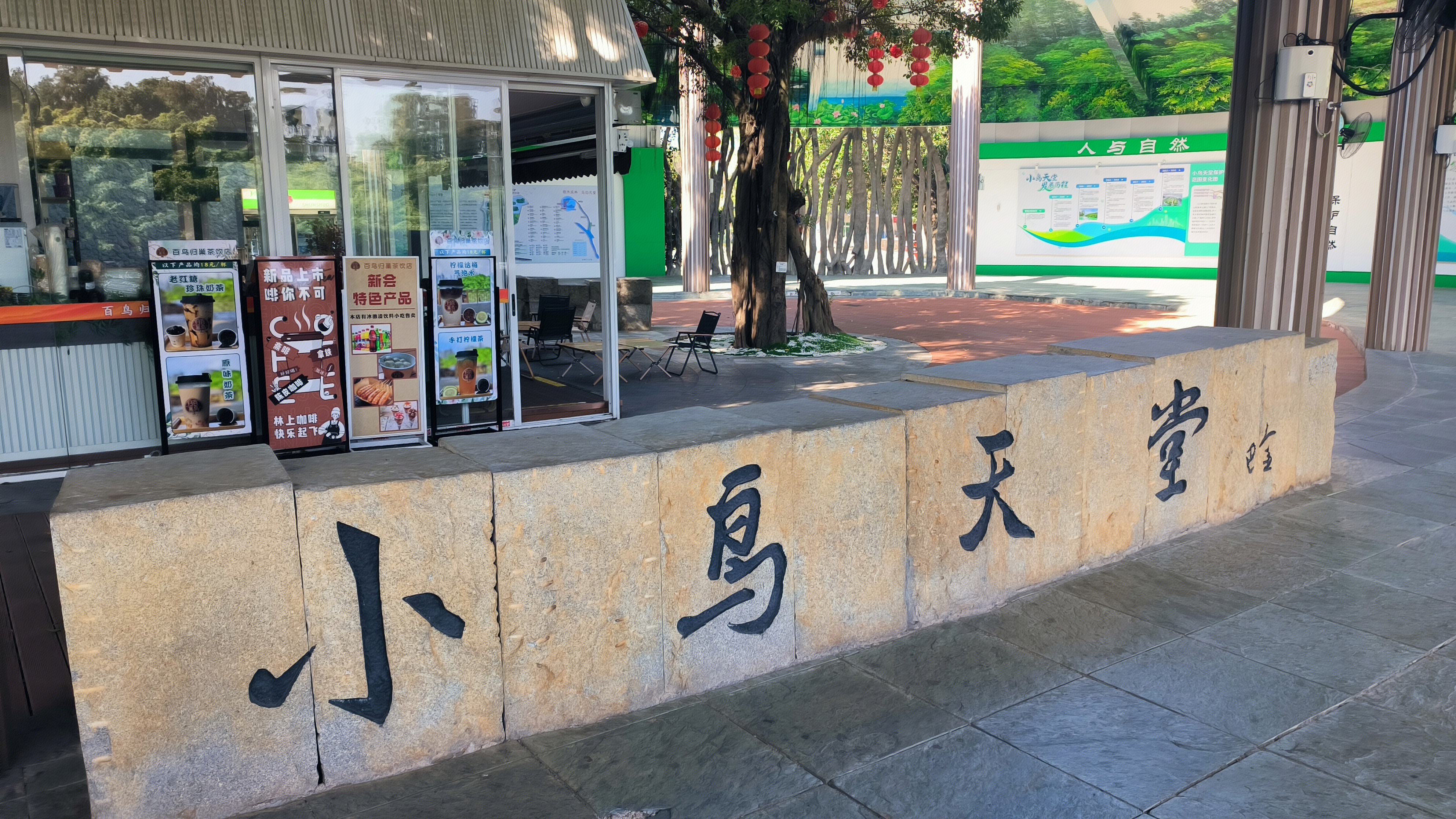 小鸟天堂 鸟的天堂 鸟类生态旅游风景区