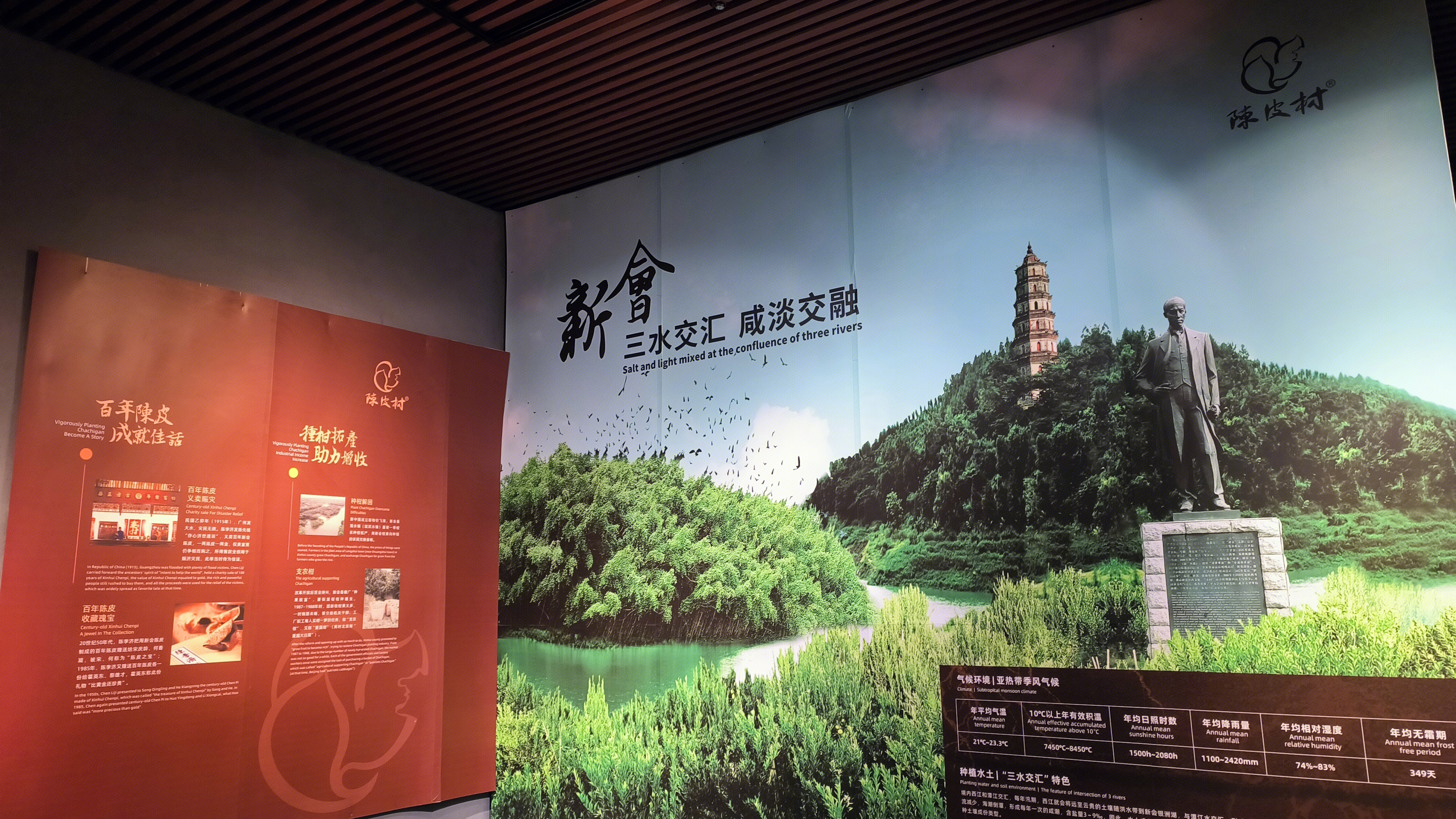 陈皮村 新会陈皮农业产业园 新会陈皮村