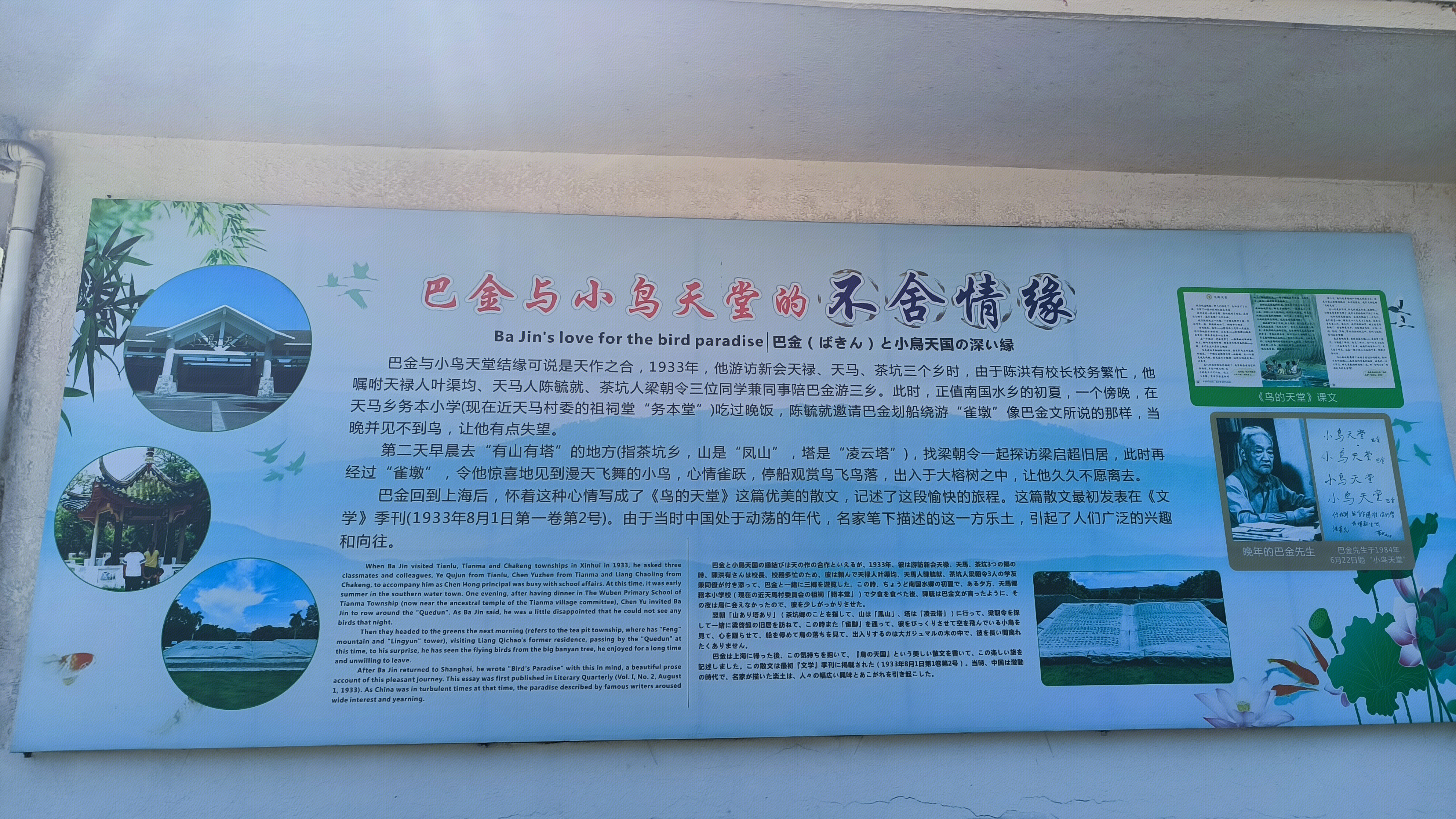 小鸟天堂 鸟的天堂 鸟类生态旅游风景区 巴金与小鸟天堂的不舍情缘