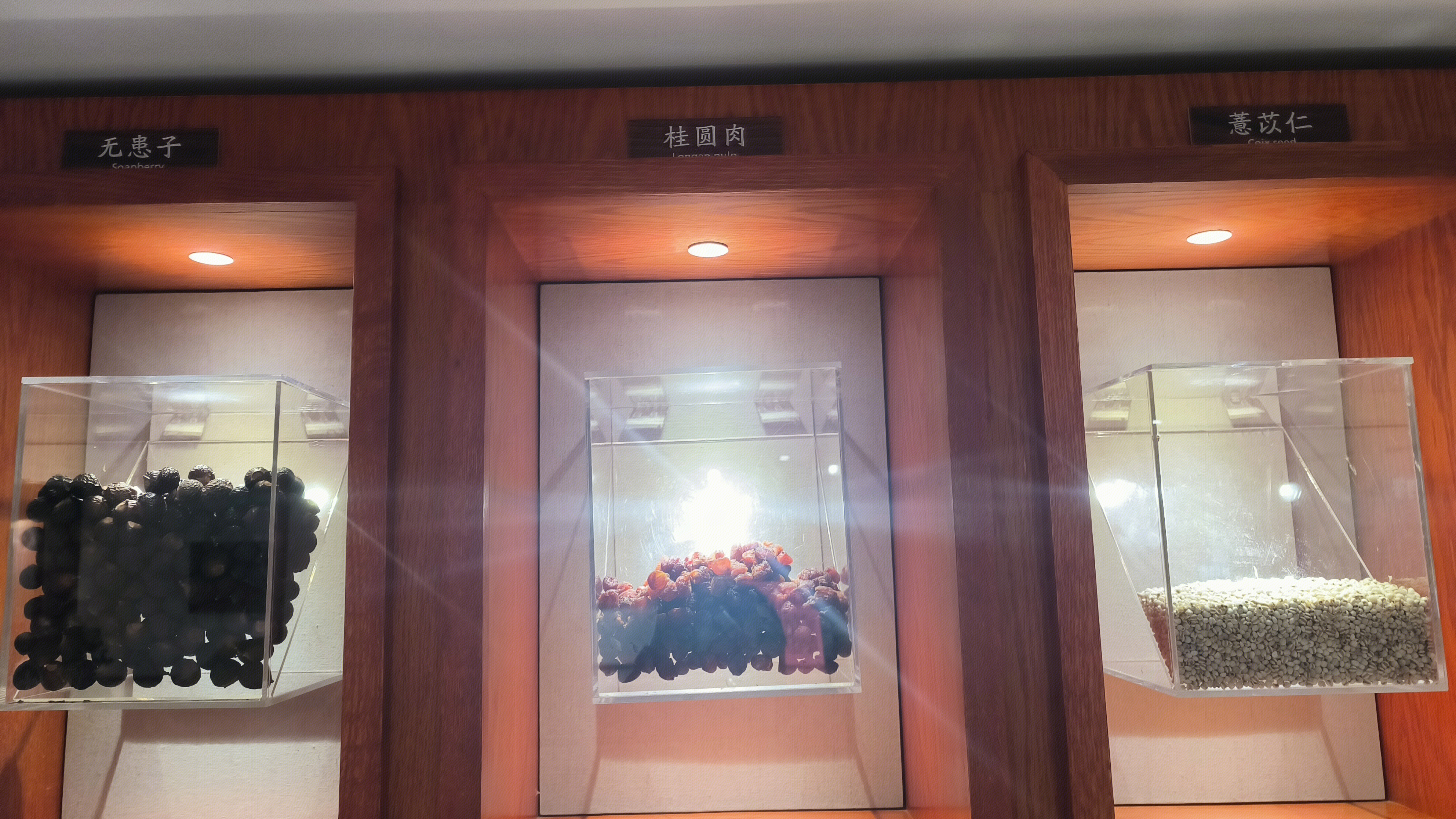 无患子 桂圆肉 薏苡仁 中药材 保健食品