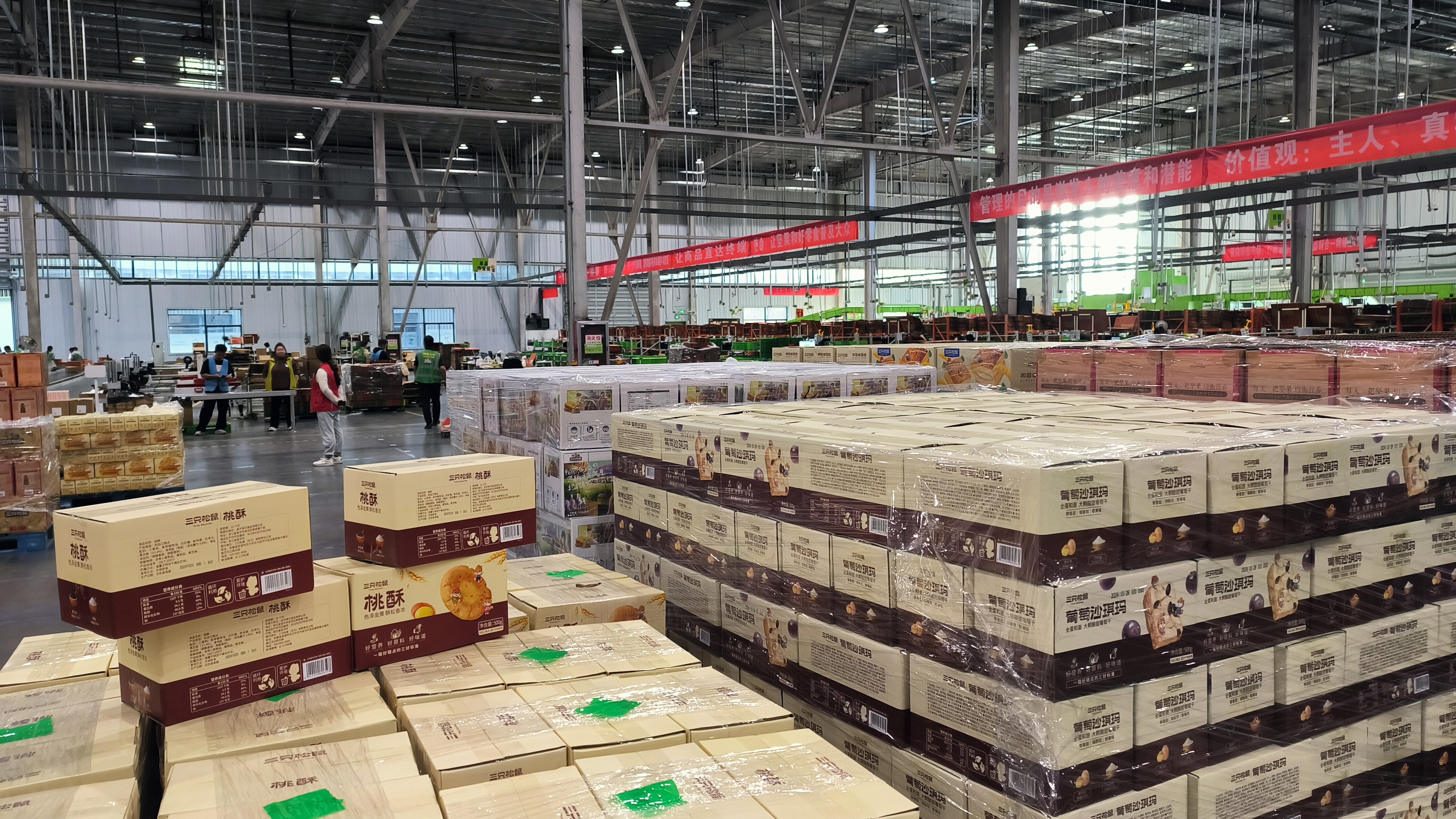 三只松鼠 休闲零食品牌 三只松鼠公司仓储物流中心 仓库