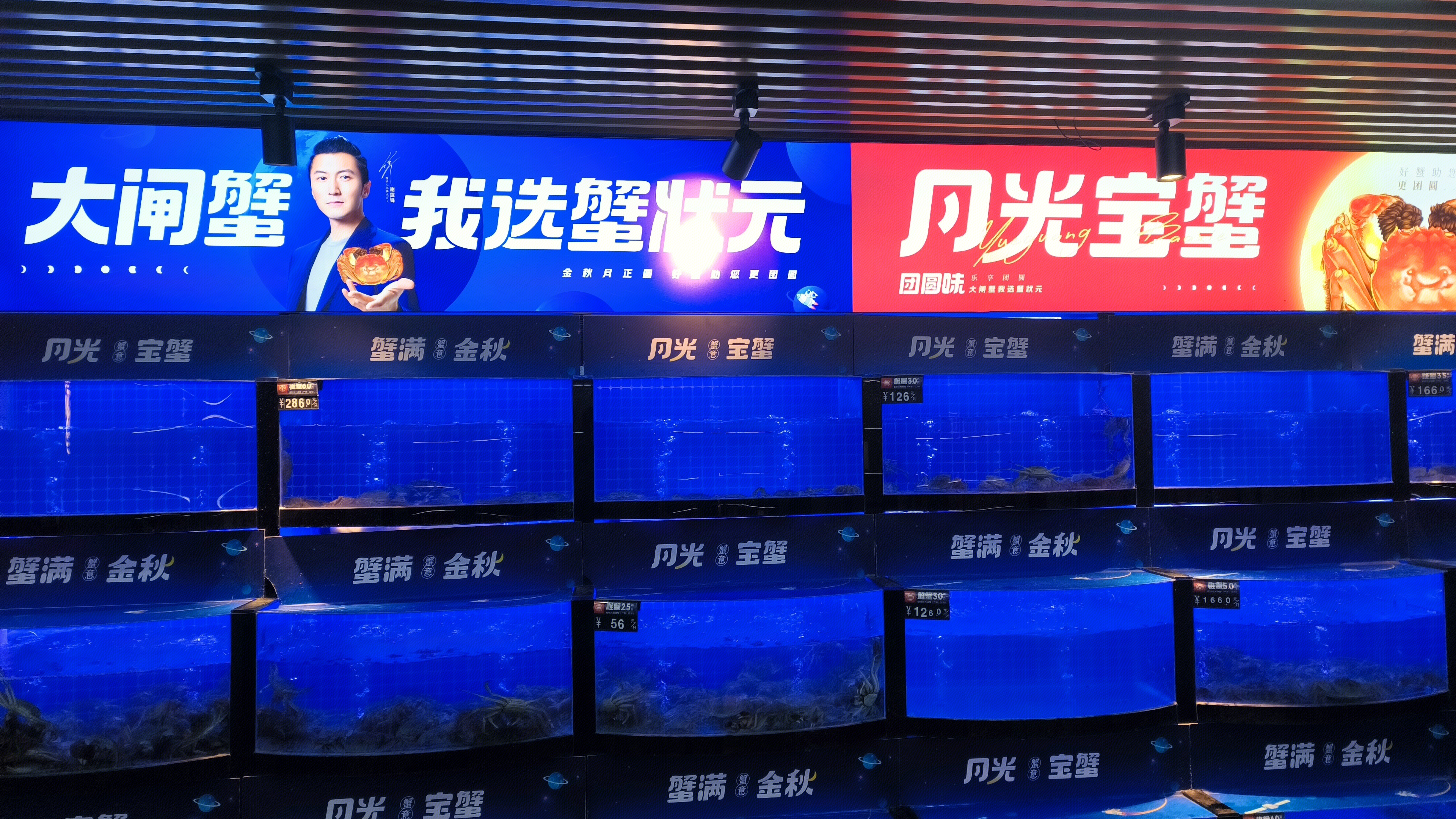 蟹状元 XIE ZHUANG YUAN 大闸蟹 生鲜