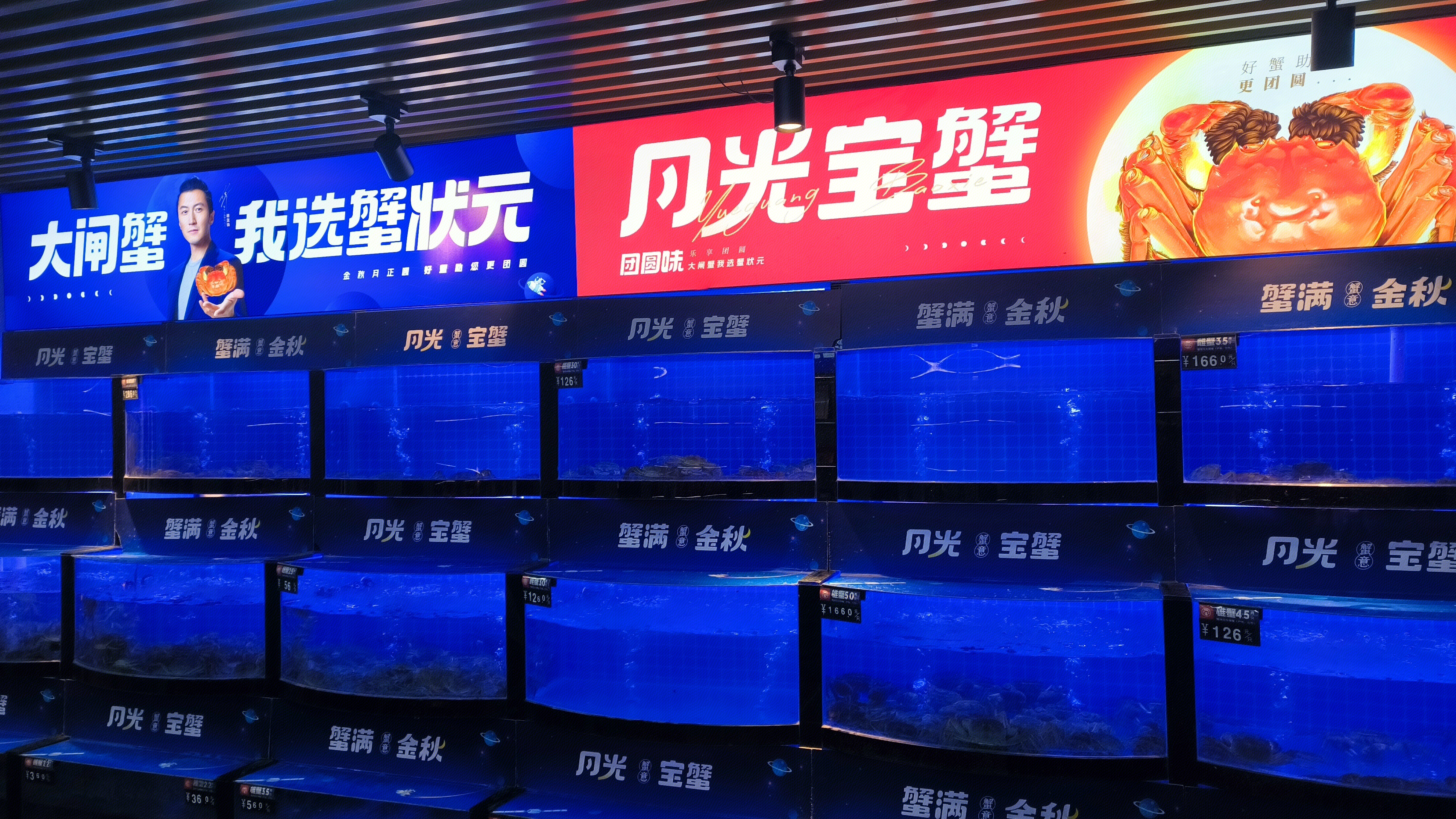 蟹状元 XIE ZHUANG YUAN 大闸蟹 生鲜
