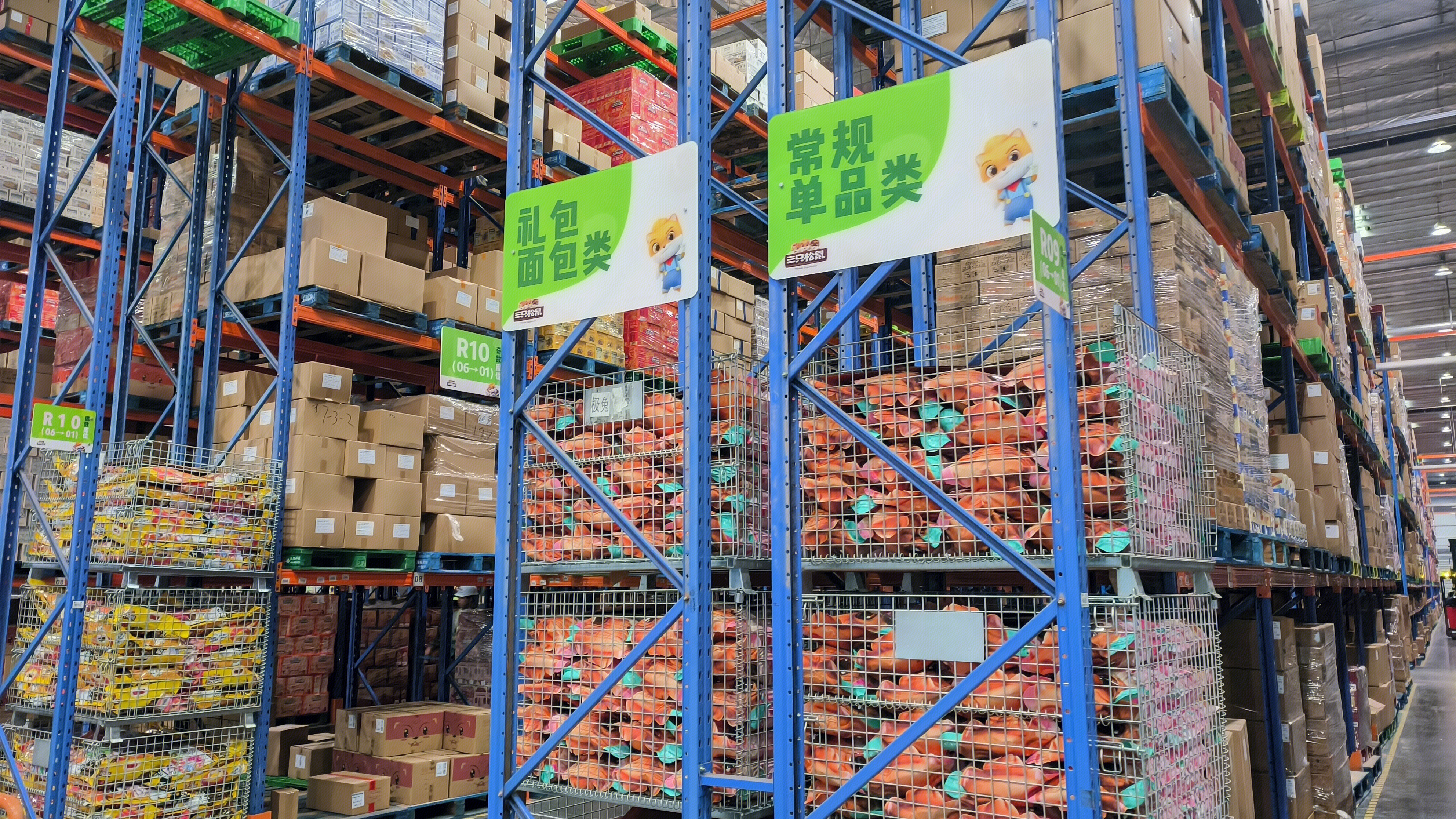 三只松鼠 休闲零食品牌 三只松鼠公司仓储物流中心 仓库