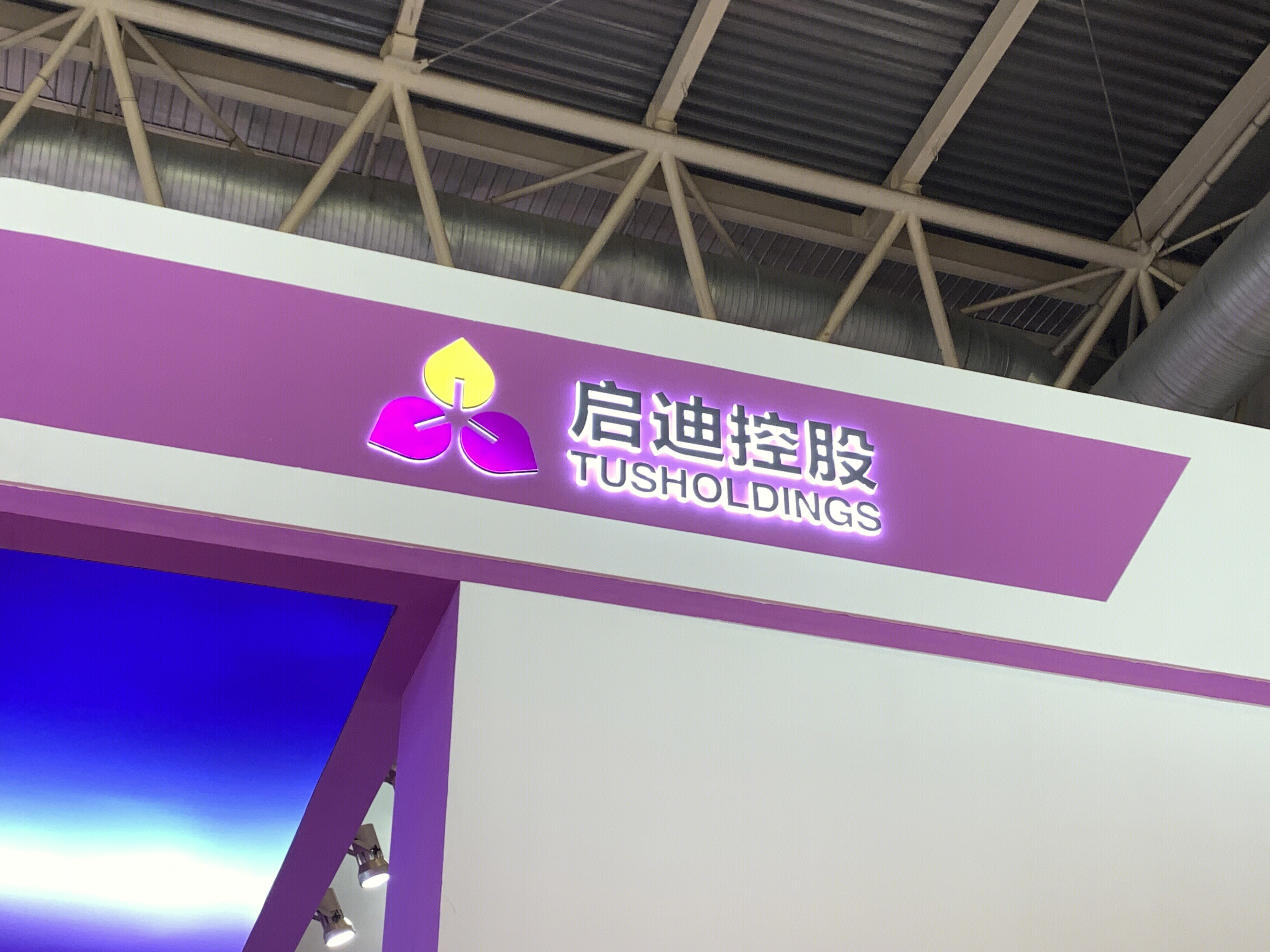 启迪控股 TUSHOLDINGS 启迪控股股份有限公司